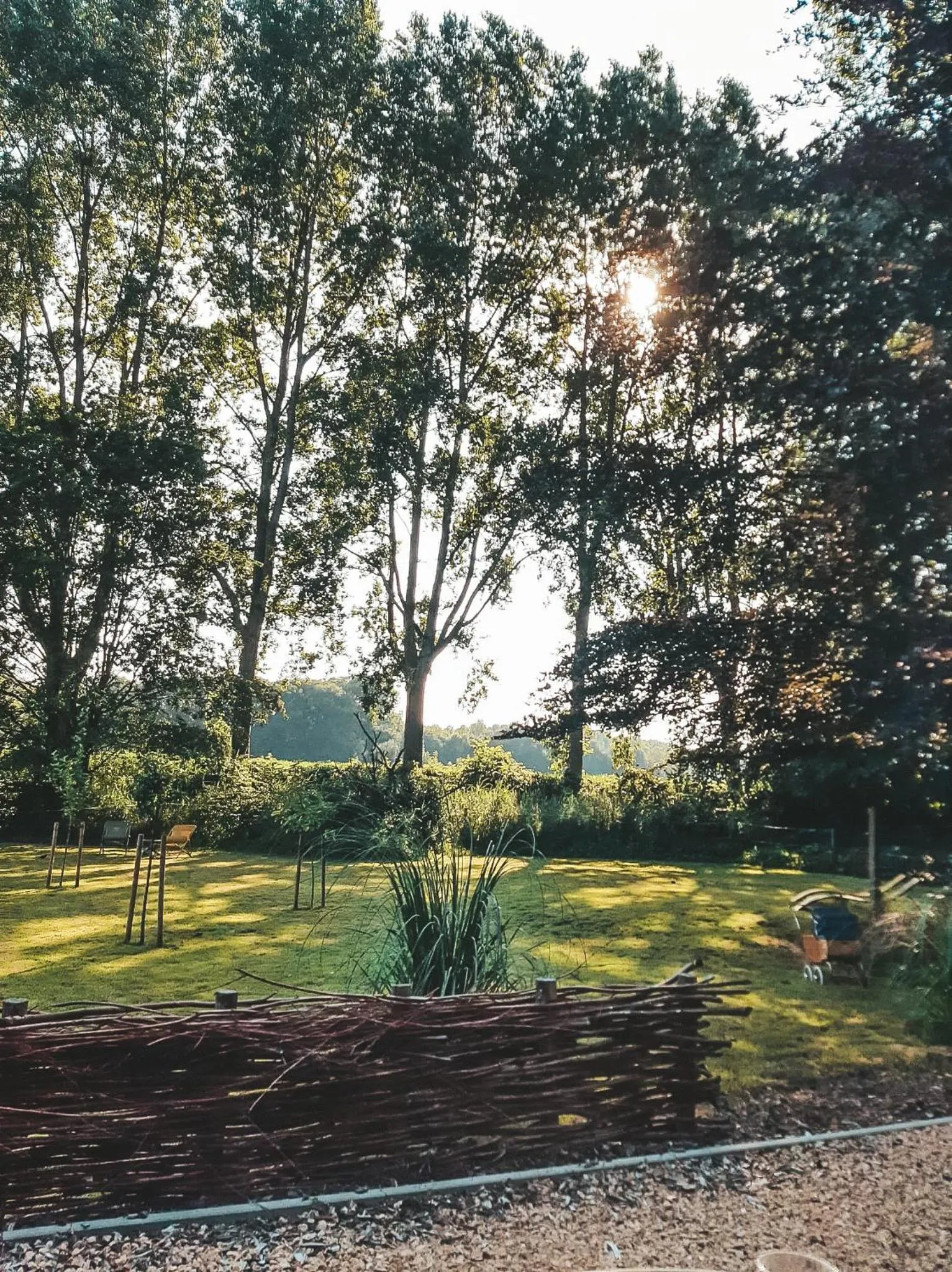 Summer in Hoeve Westdijk