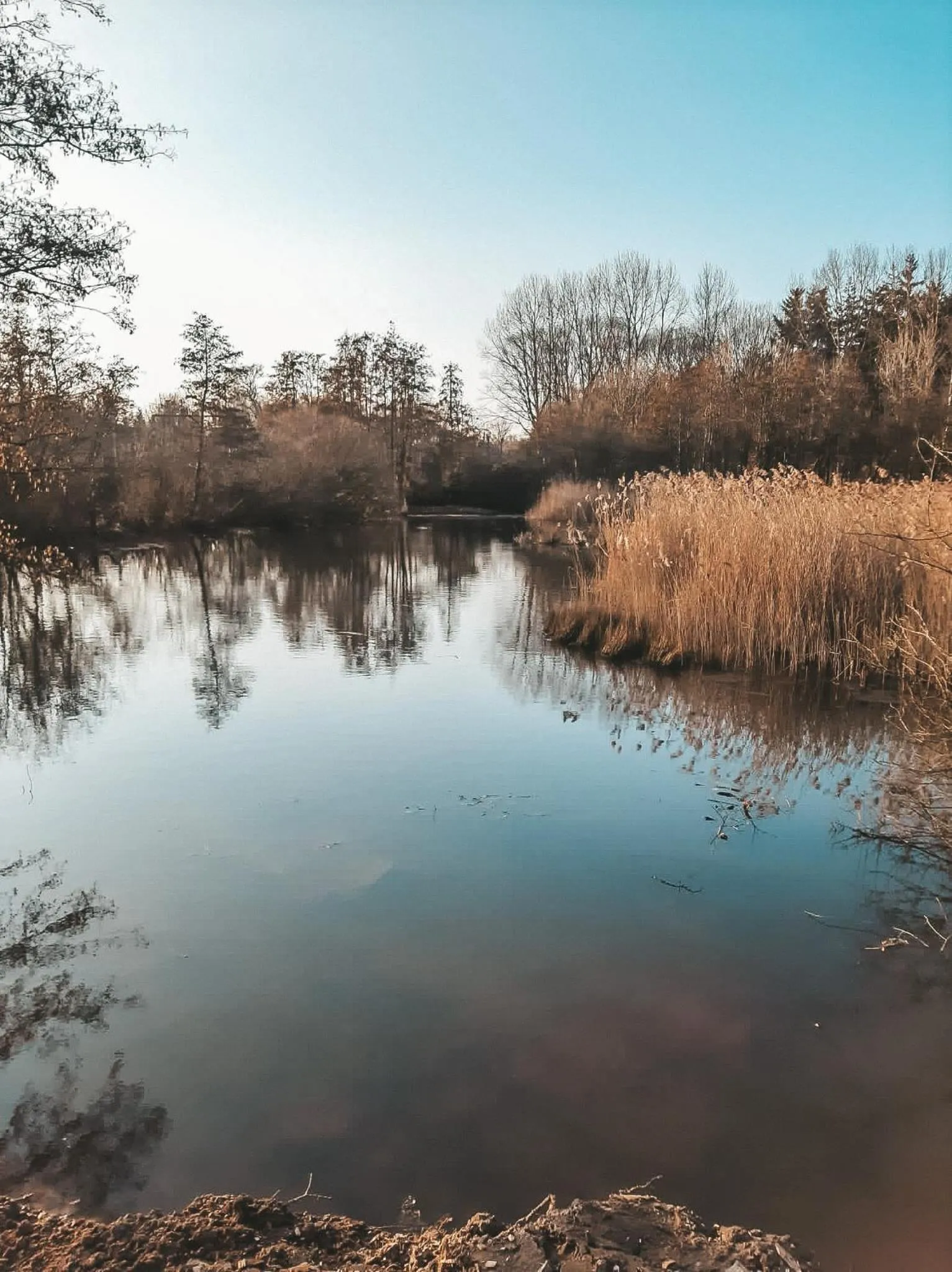 Natural landscape in Hoeve Westdijk