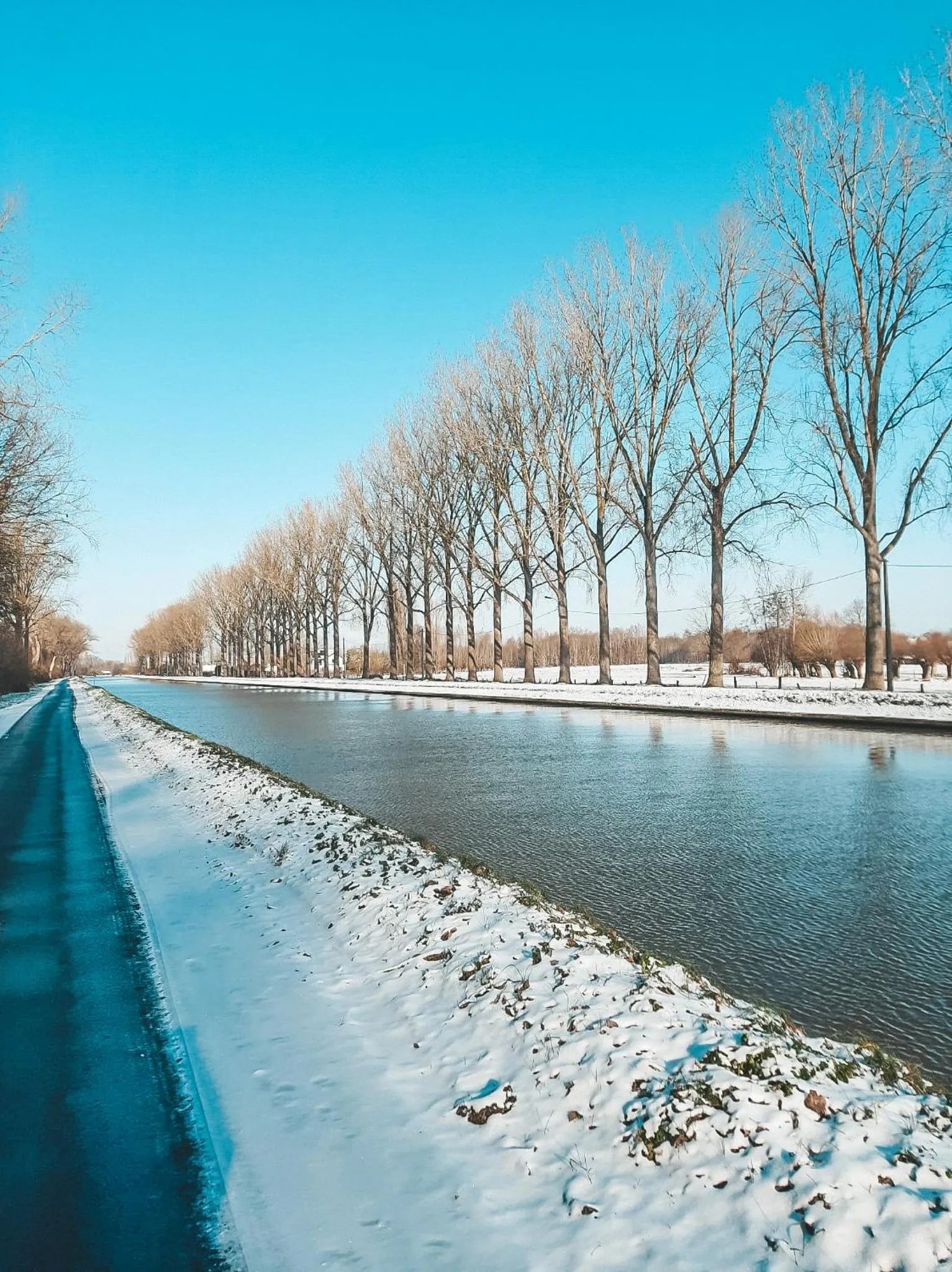 Natural landscape in Hoeve Westdijk