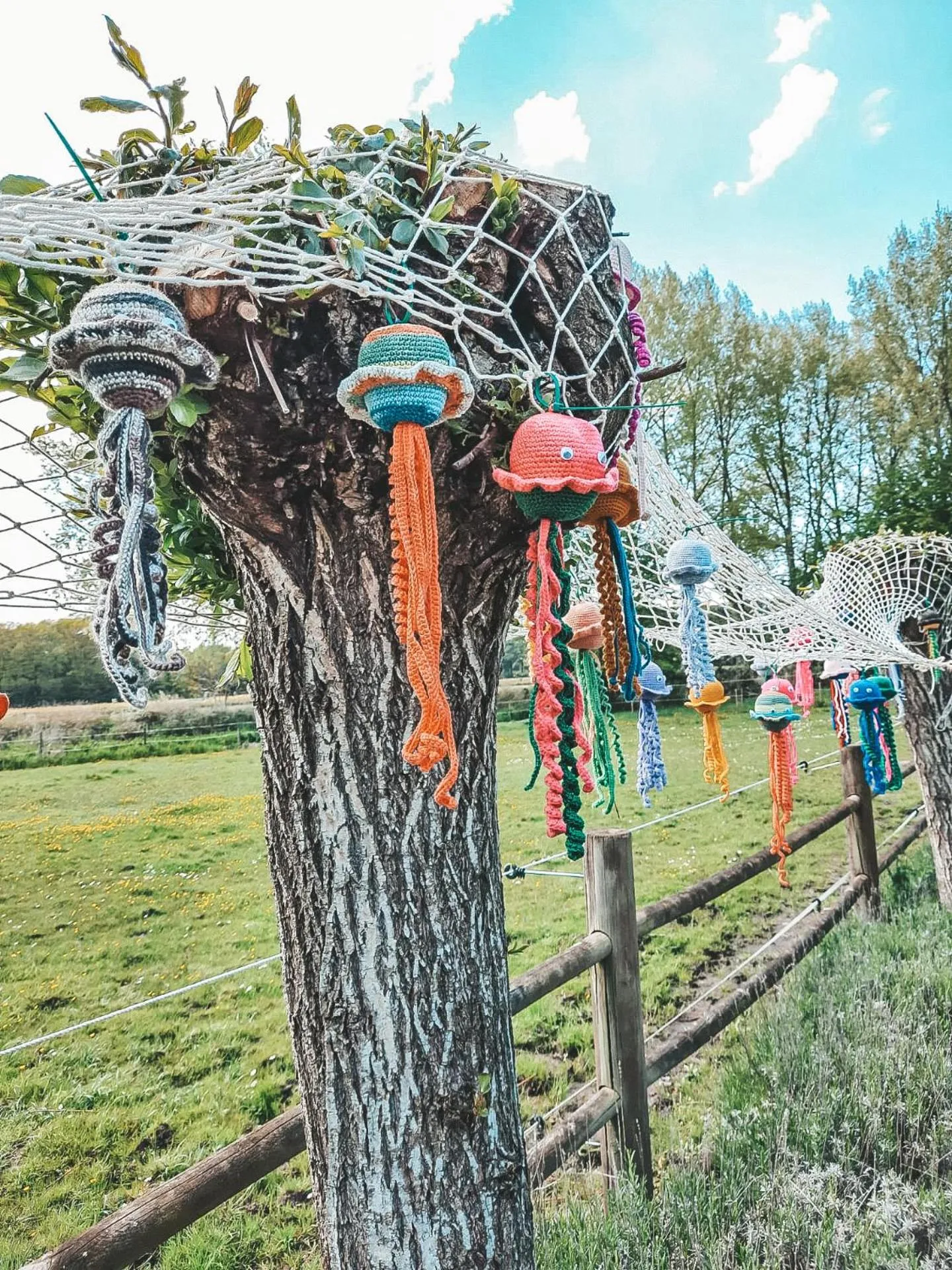 Parking in Hoeve Westdijk