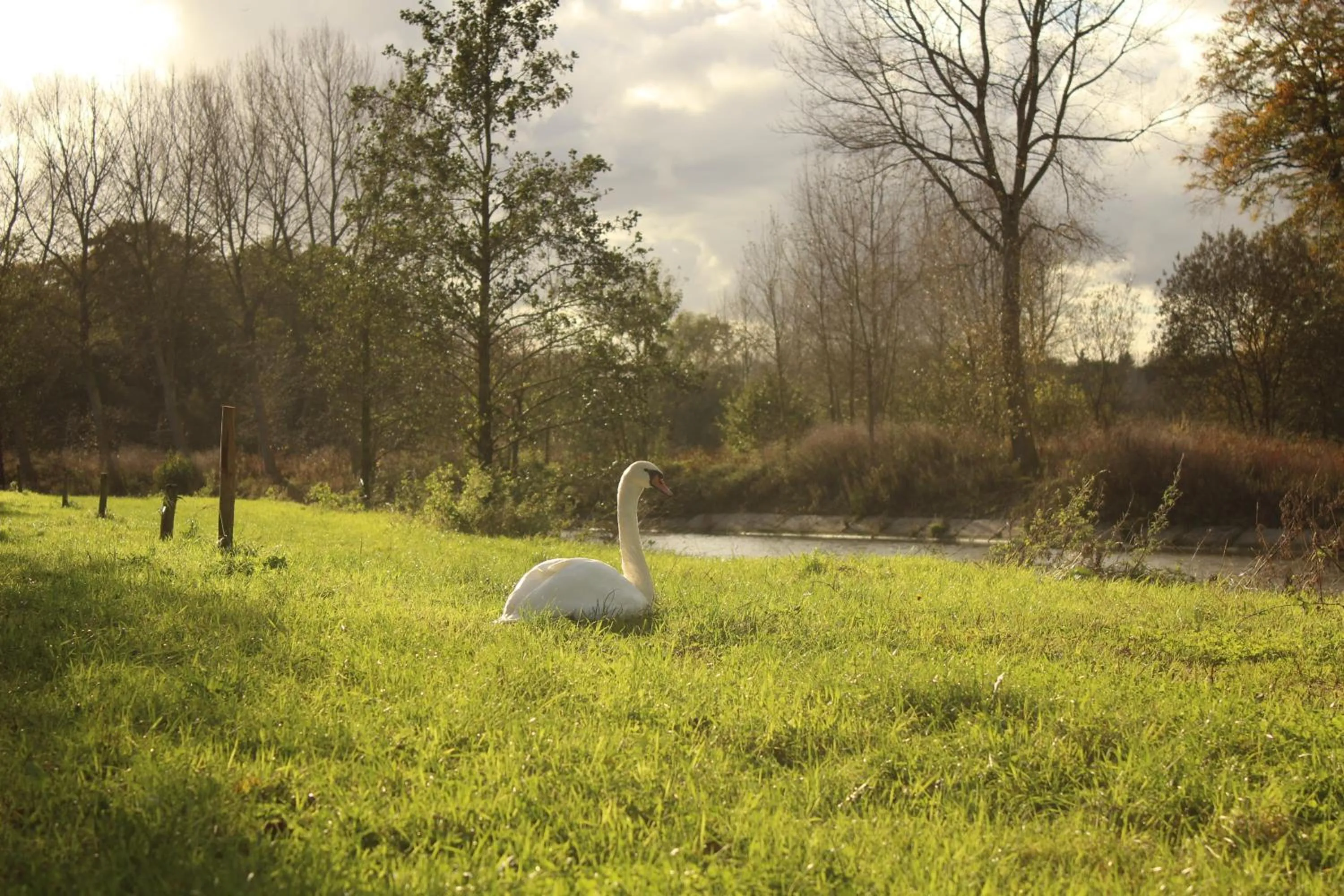 Natural landscape in Hoeve Westdijk