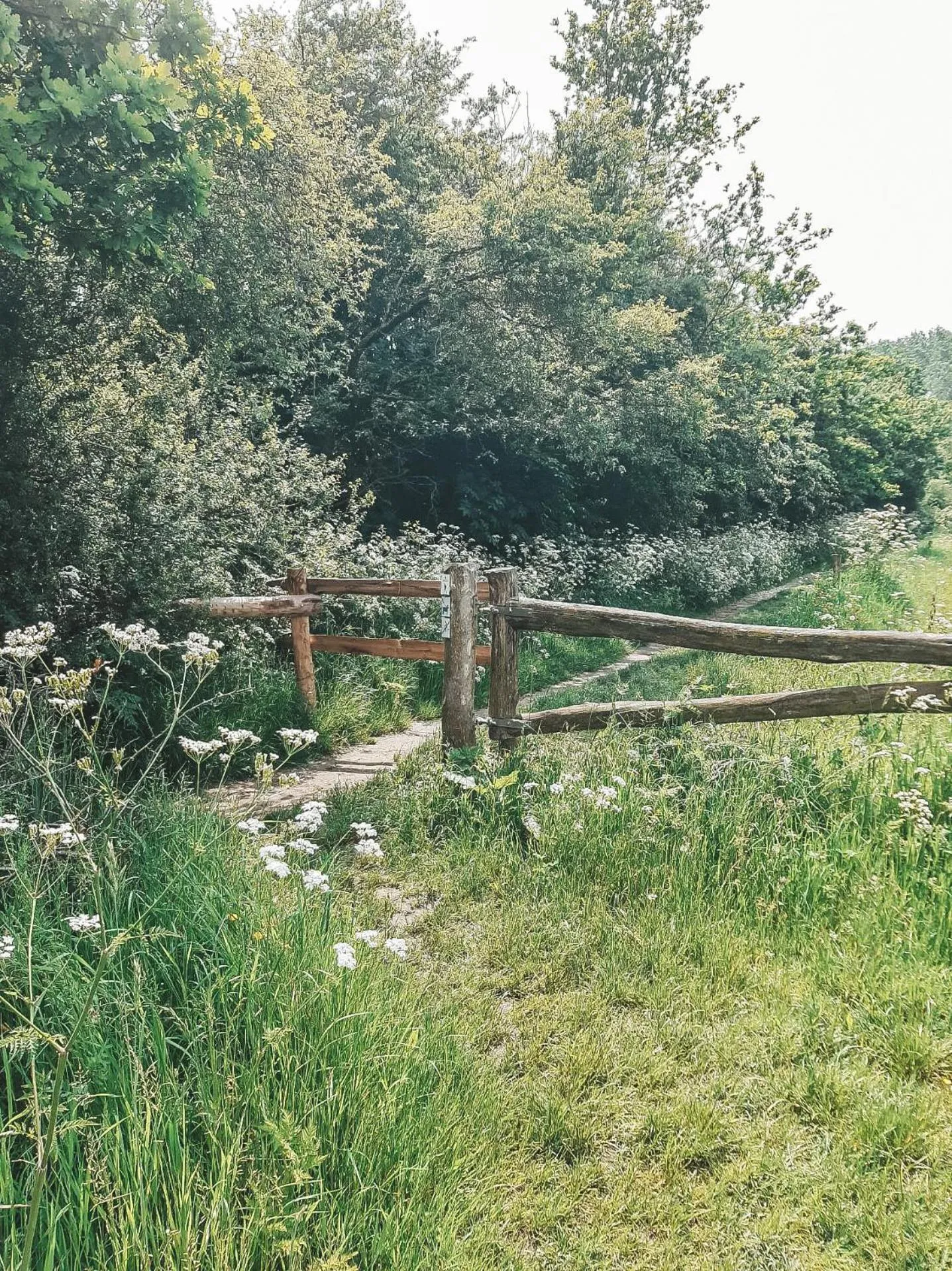 Off site in Hoeve Westdijk
