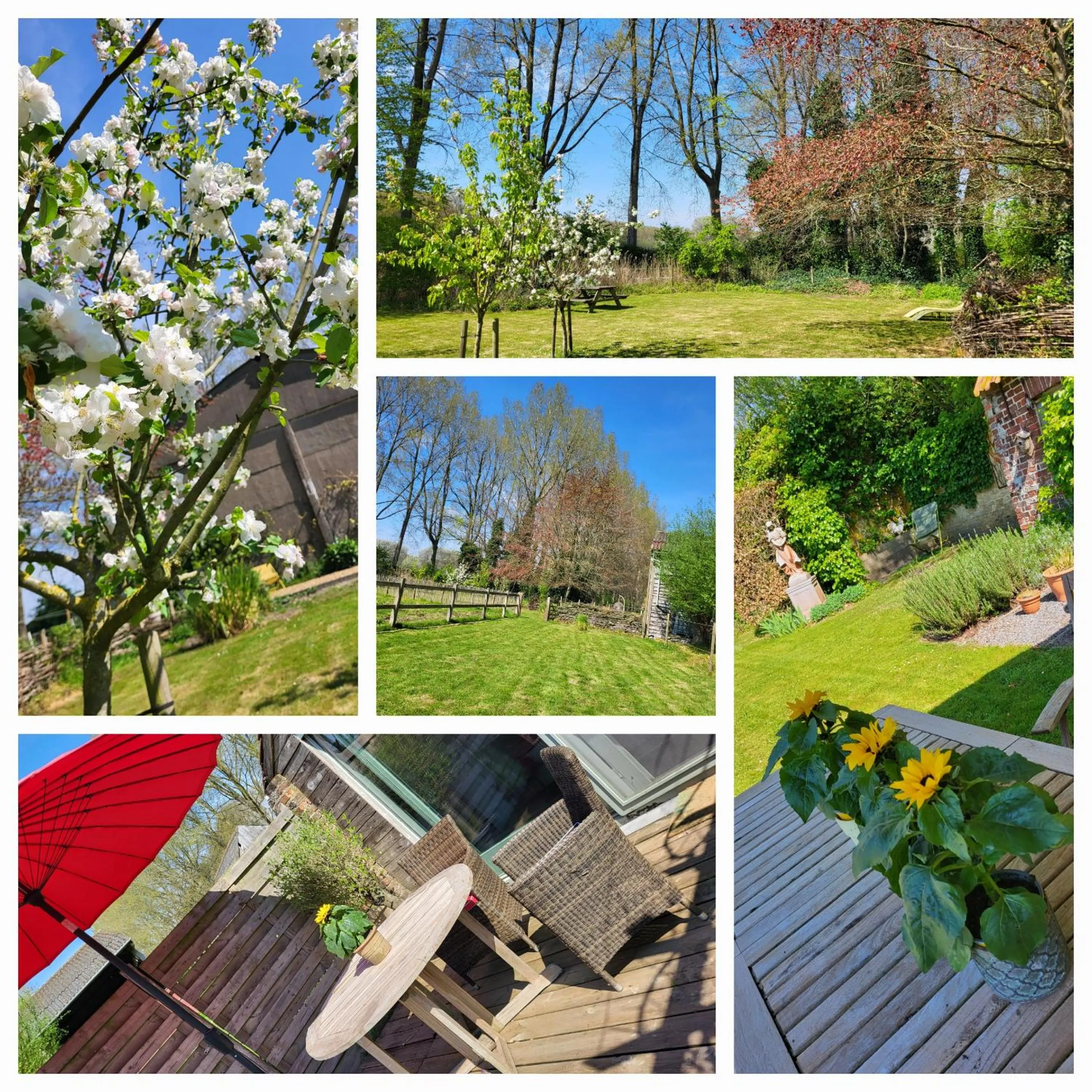 View (from property/room) in B&B Hoeve Westdijk