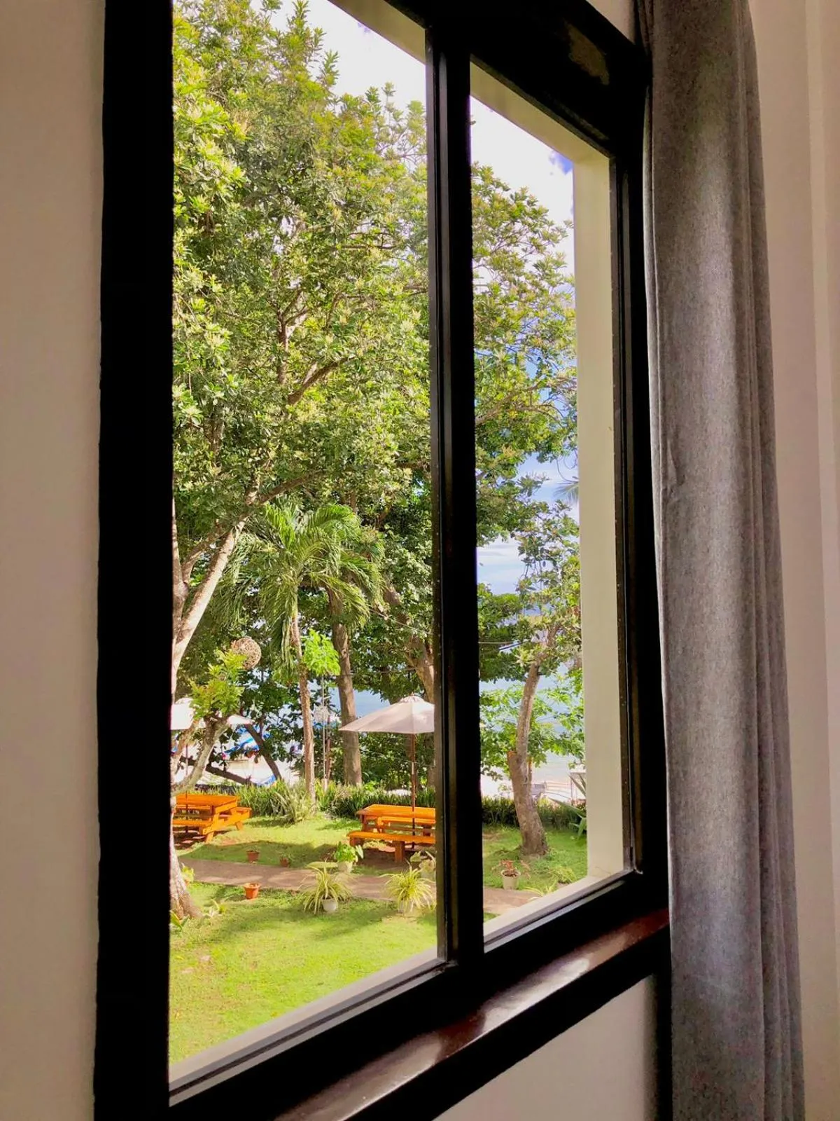 Garden in La Sirenita