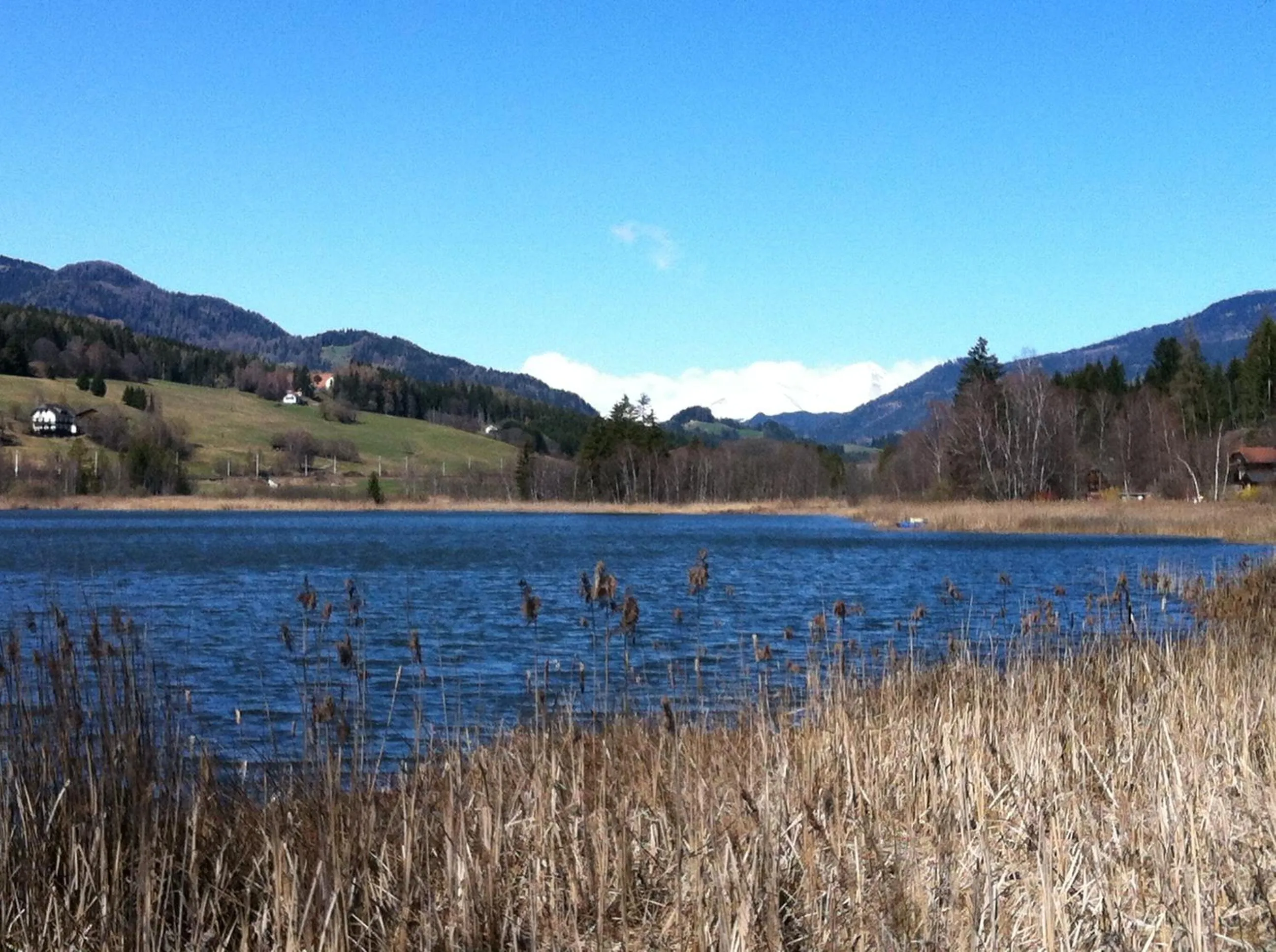 Natural landscape in Jerà am Furtnerteich Hotel-Ristorante&Relax