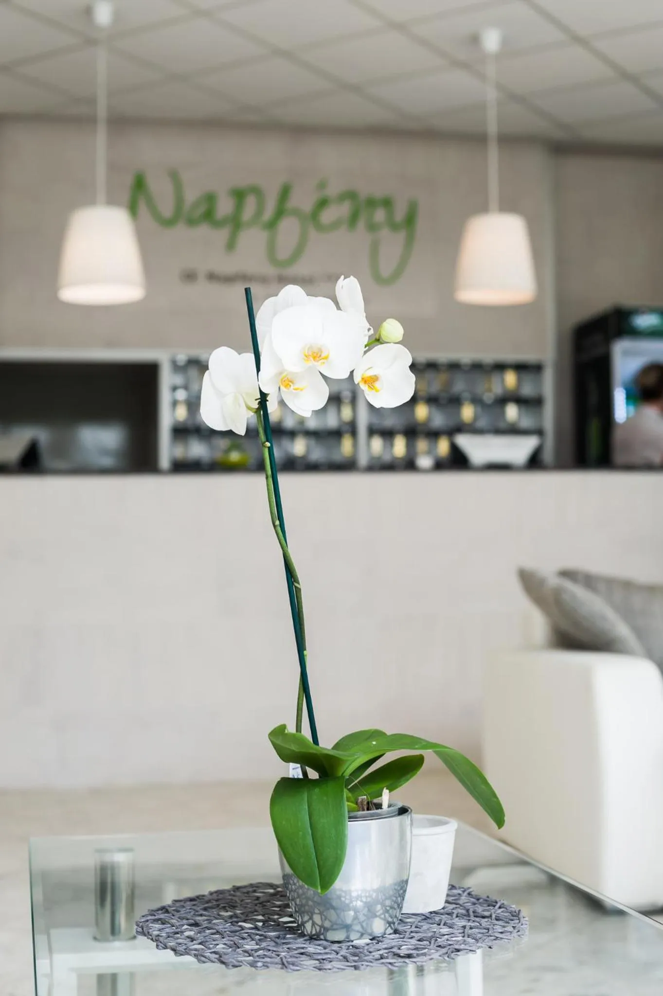 Lobby or reception in CE Napfény Hotel