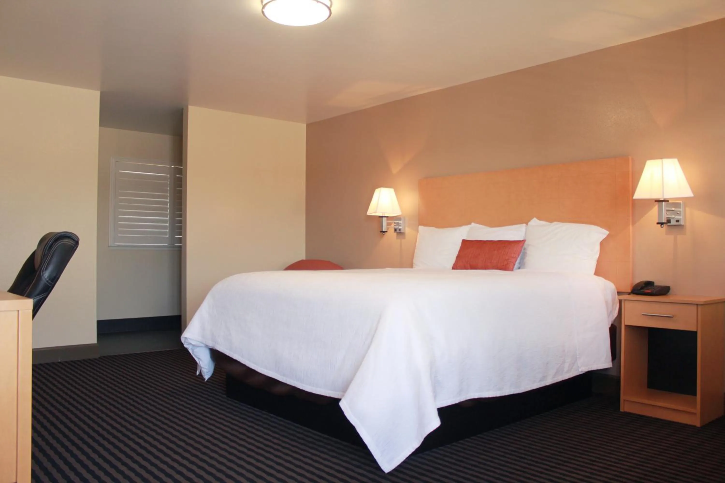 Photo of the whole room in Regency Inn