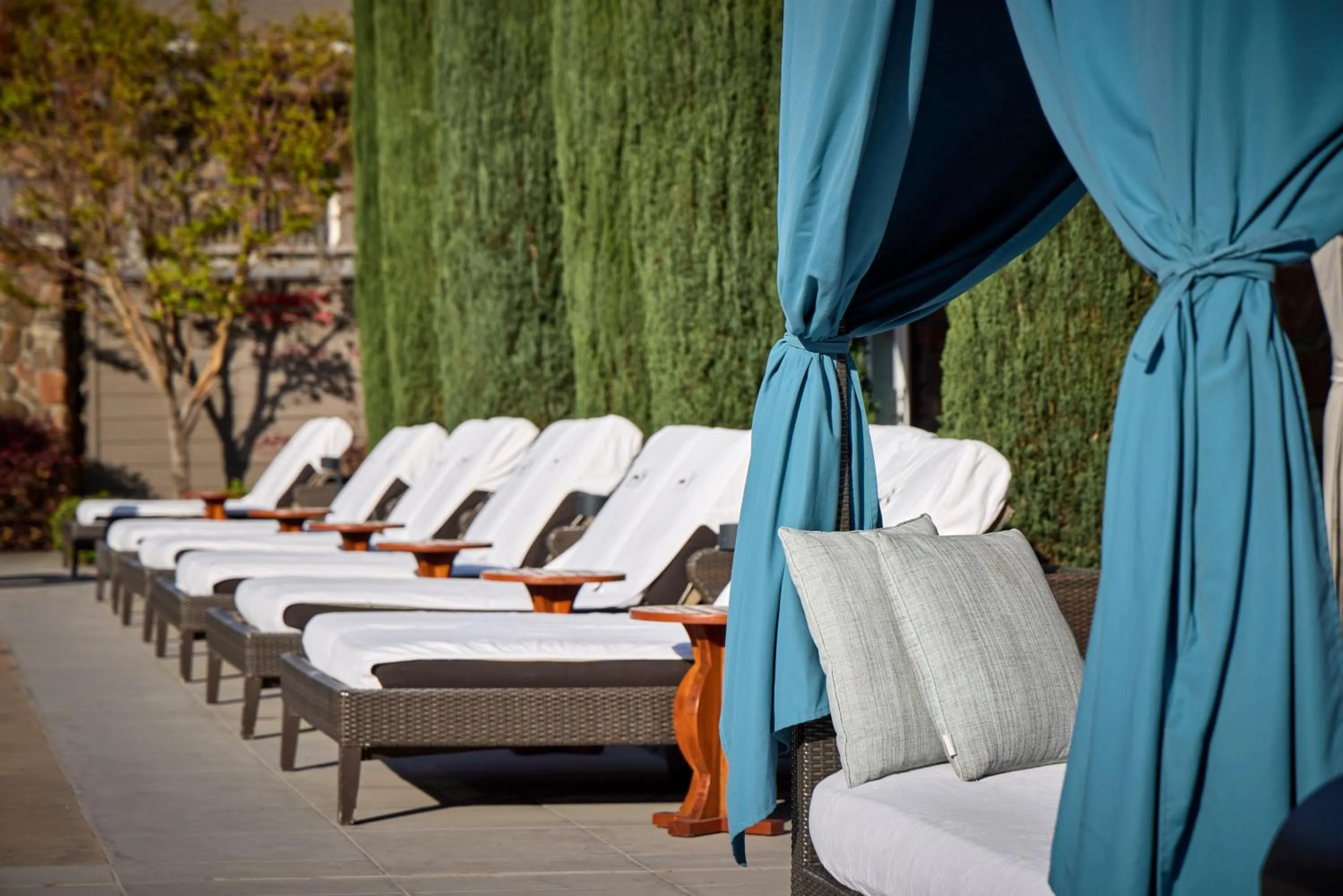 Pool view in Hotel Yountville