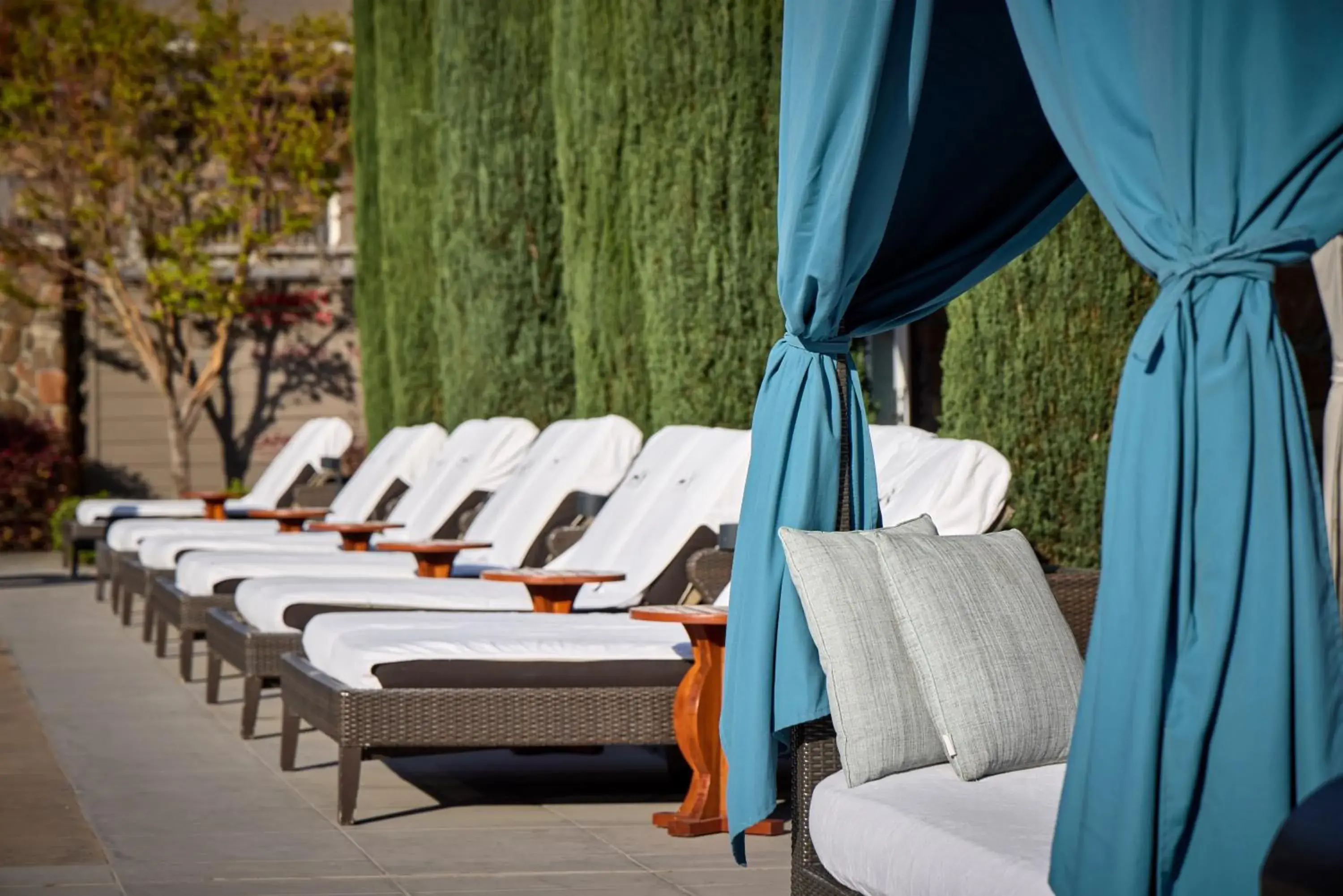 Pool view in Hotel Yountville Pool view in Hotel Yountville