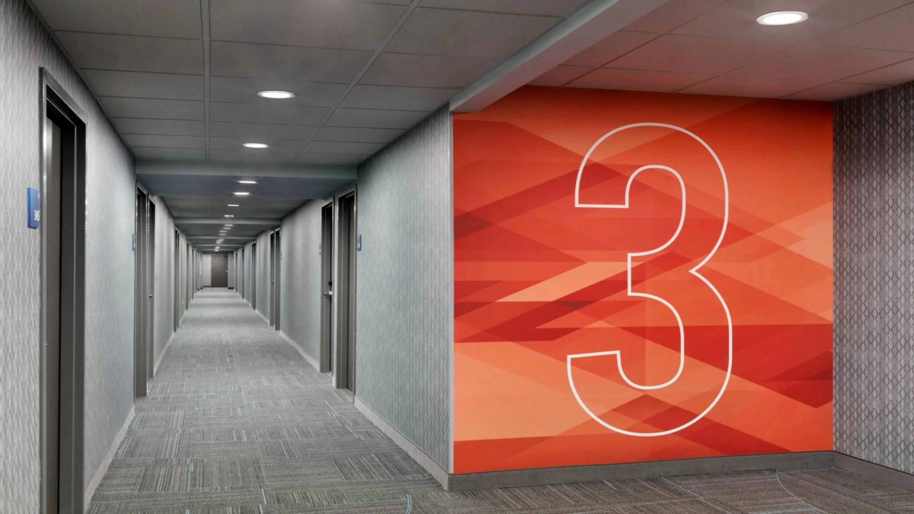 Lobby or reception in Holiday Inn Express - Williamsburg Busch Gardens Area by IHG