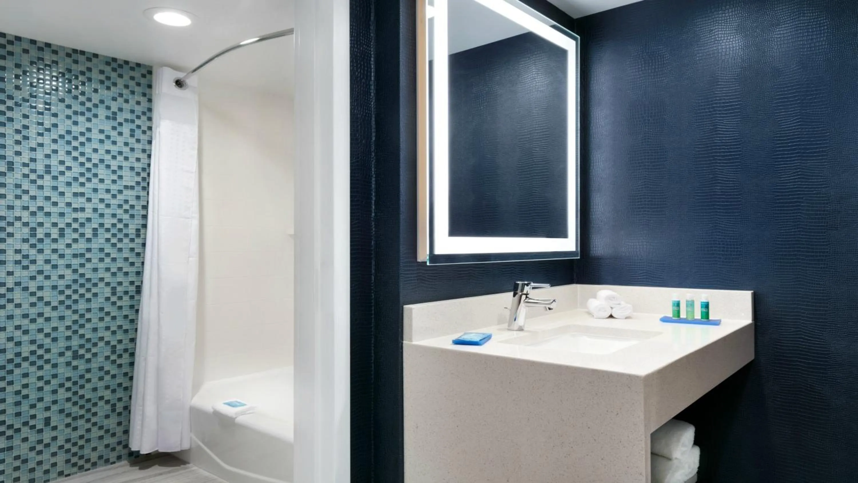 Bathroom in Holiday Inn Express - Williamsburg Busch Gardens Area by IHG