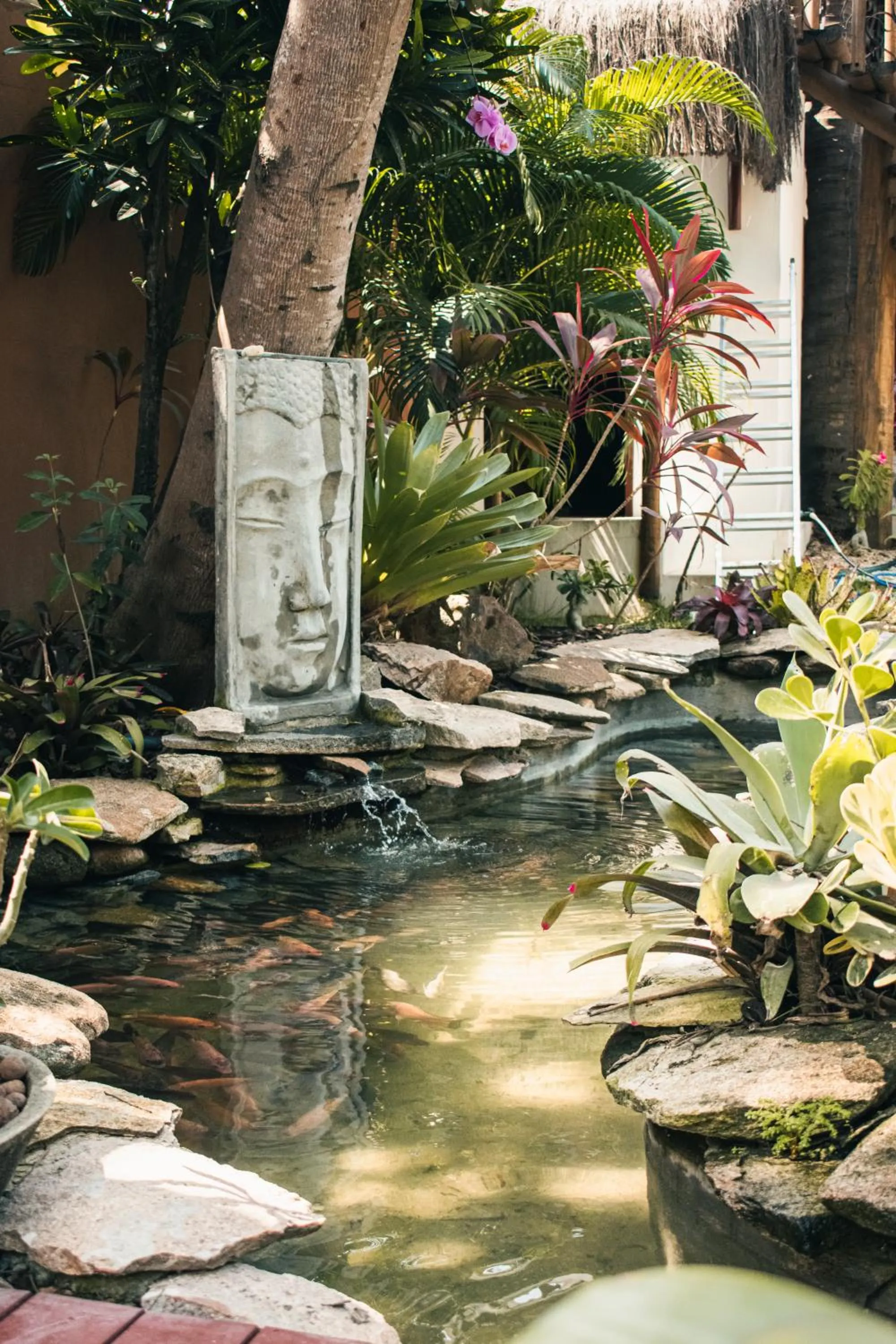 Pousada Enseada Dos Golfinhos