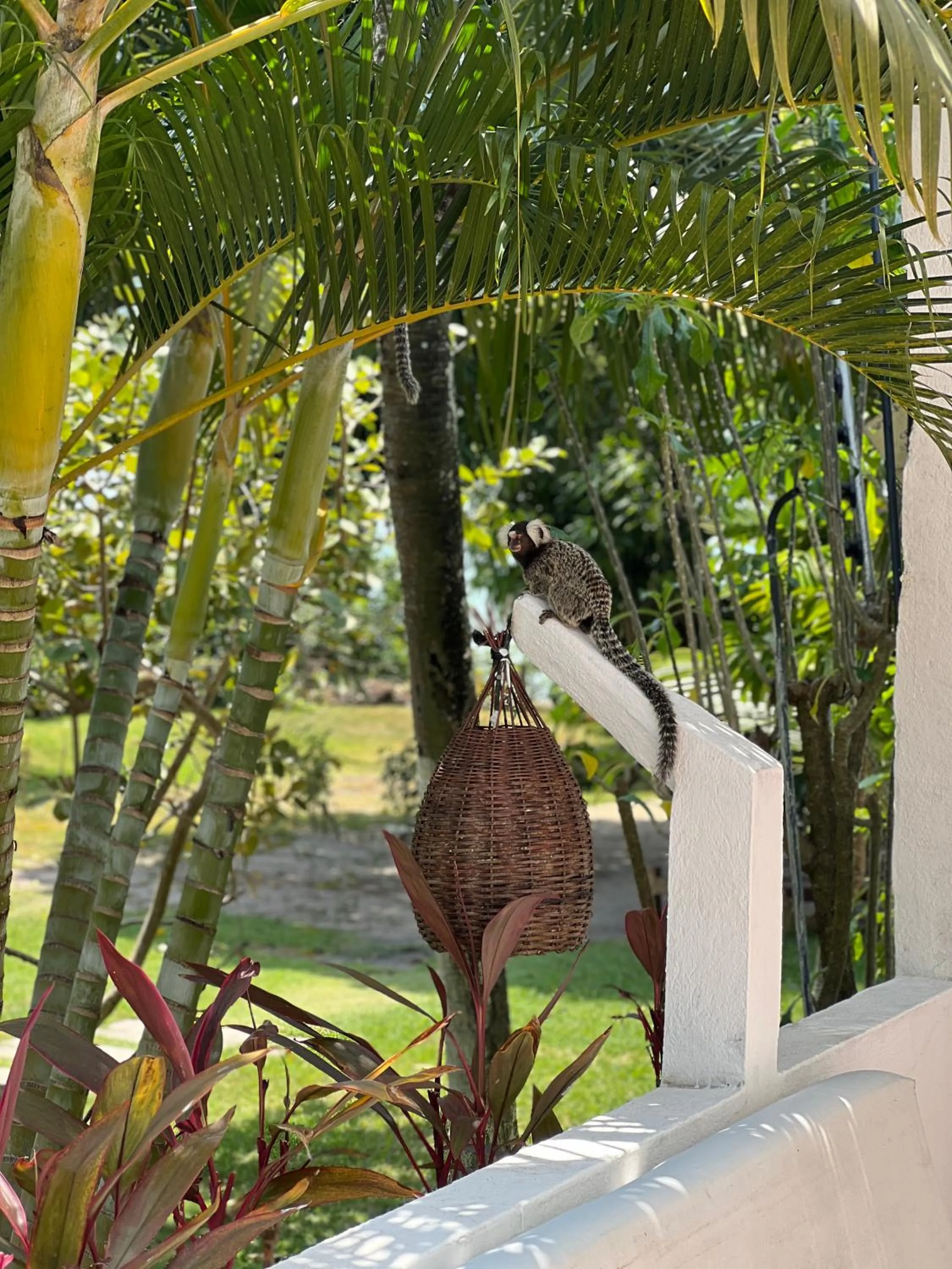 Pousada Enseada Dos Golfinhos