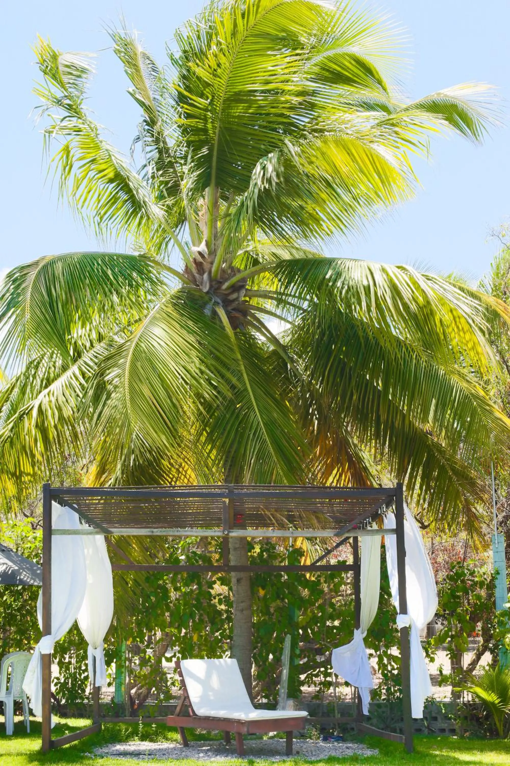 Garden in Pousada Enseada Dos Golfinhos