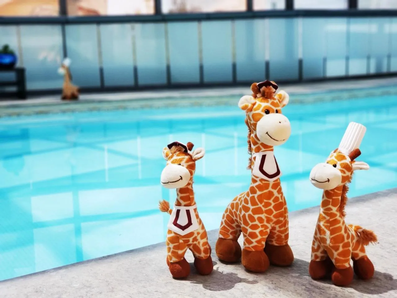 Spa and wellness centre/facilities in Hotel Marquis Reforma