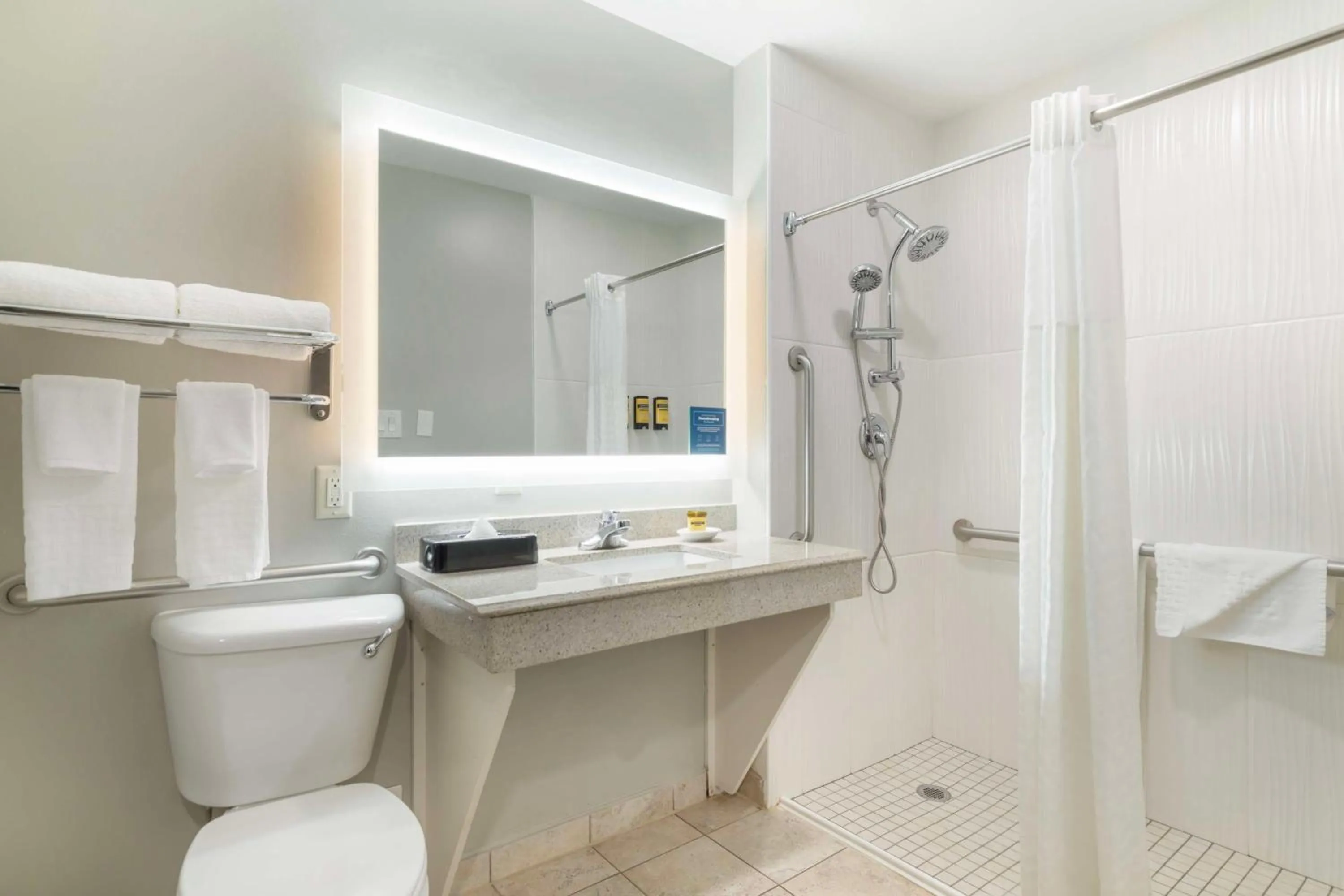 Bathroom in Best Western Plus Edinburg Inn & Suites