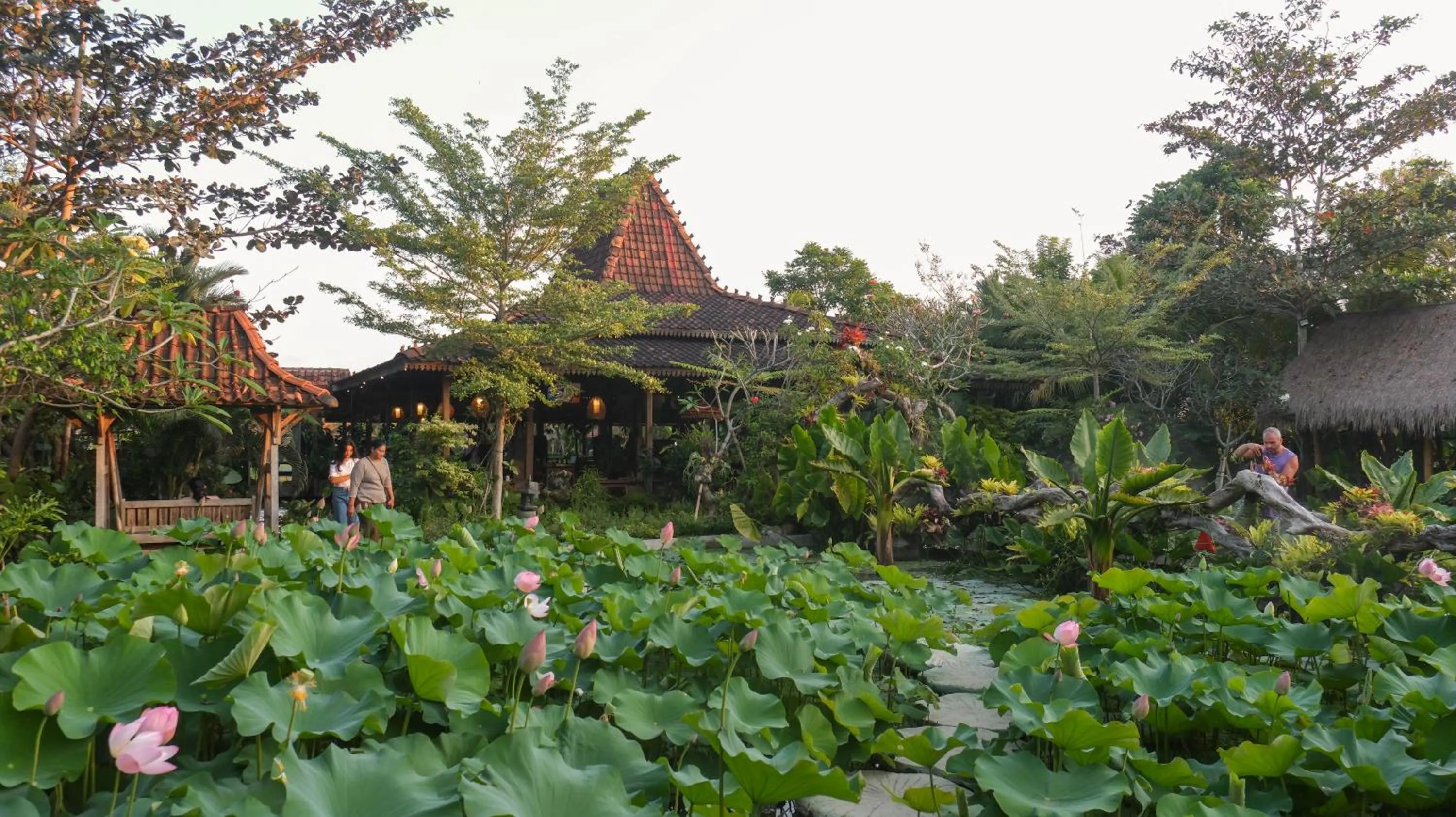Restaurant/places to eat in Ubud Art Resort