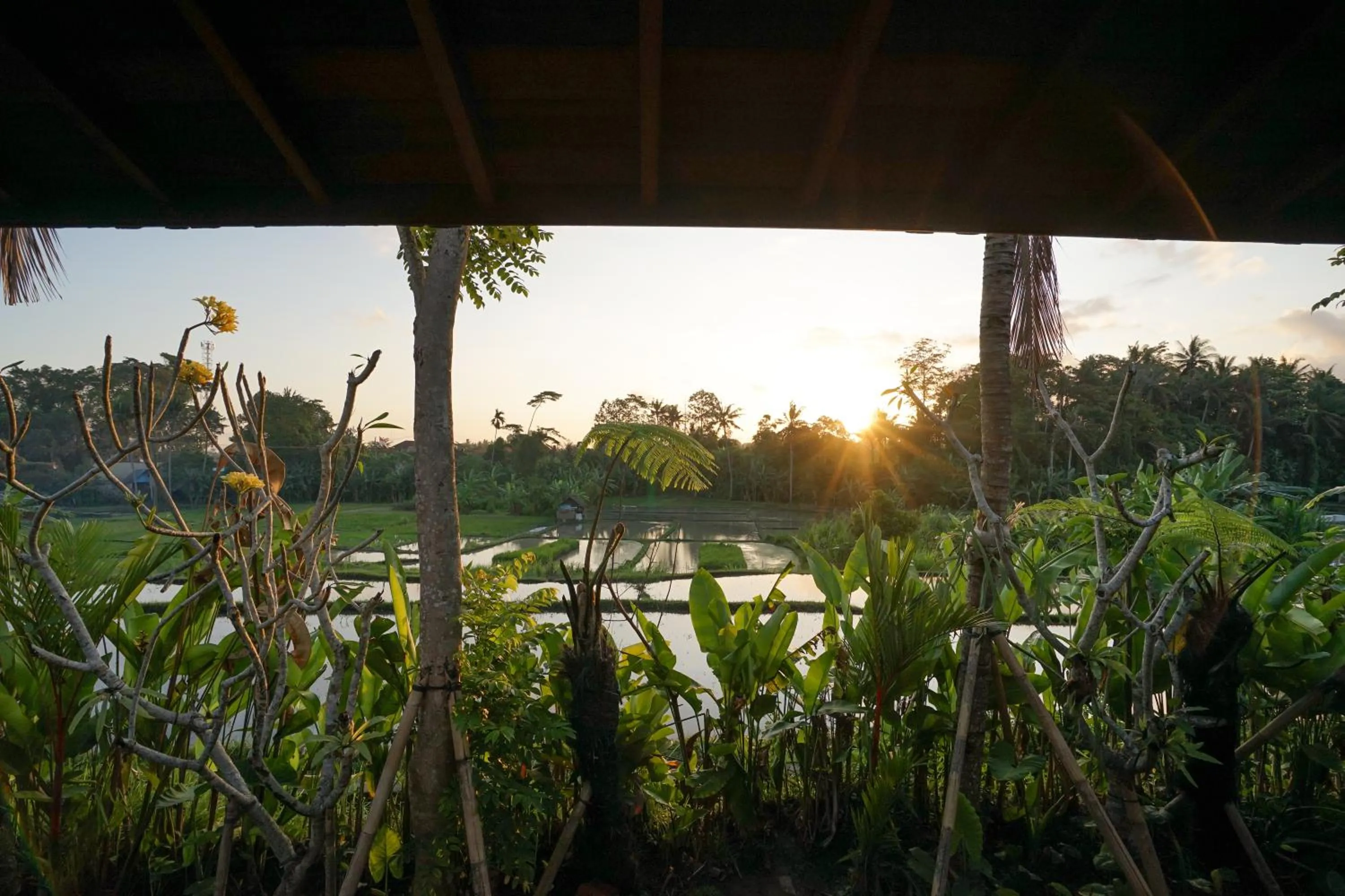 Garden view in Ubud Art Resort