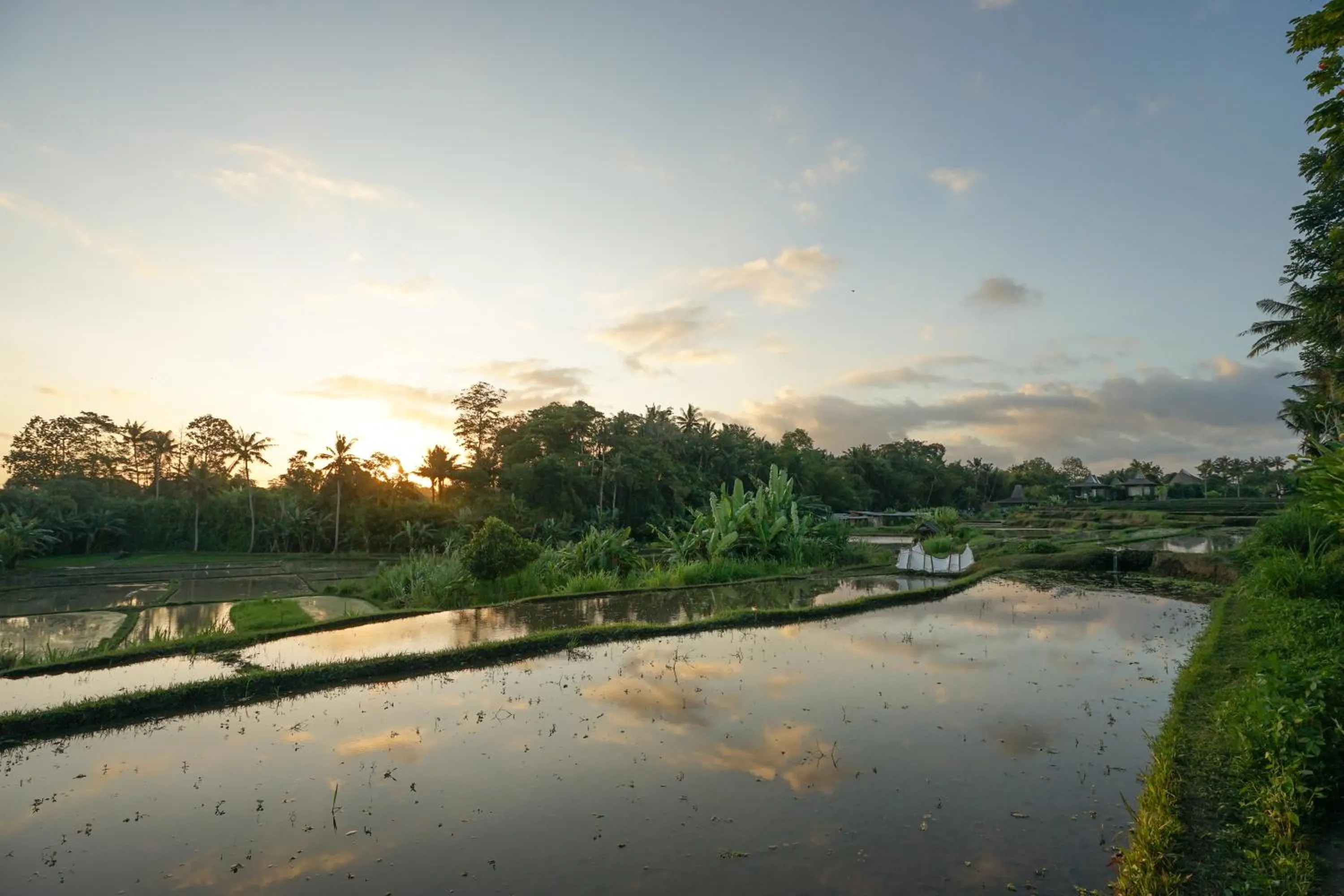 Sunset in Ubud Art Resort