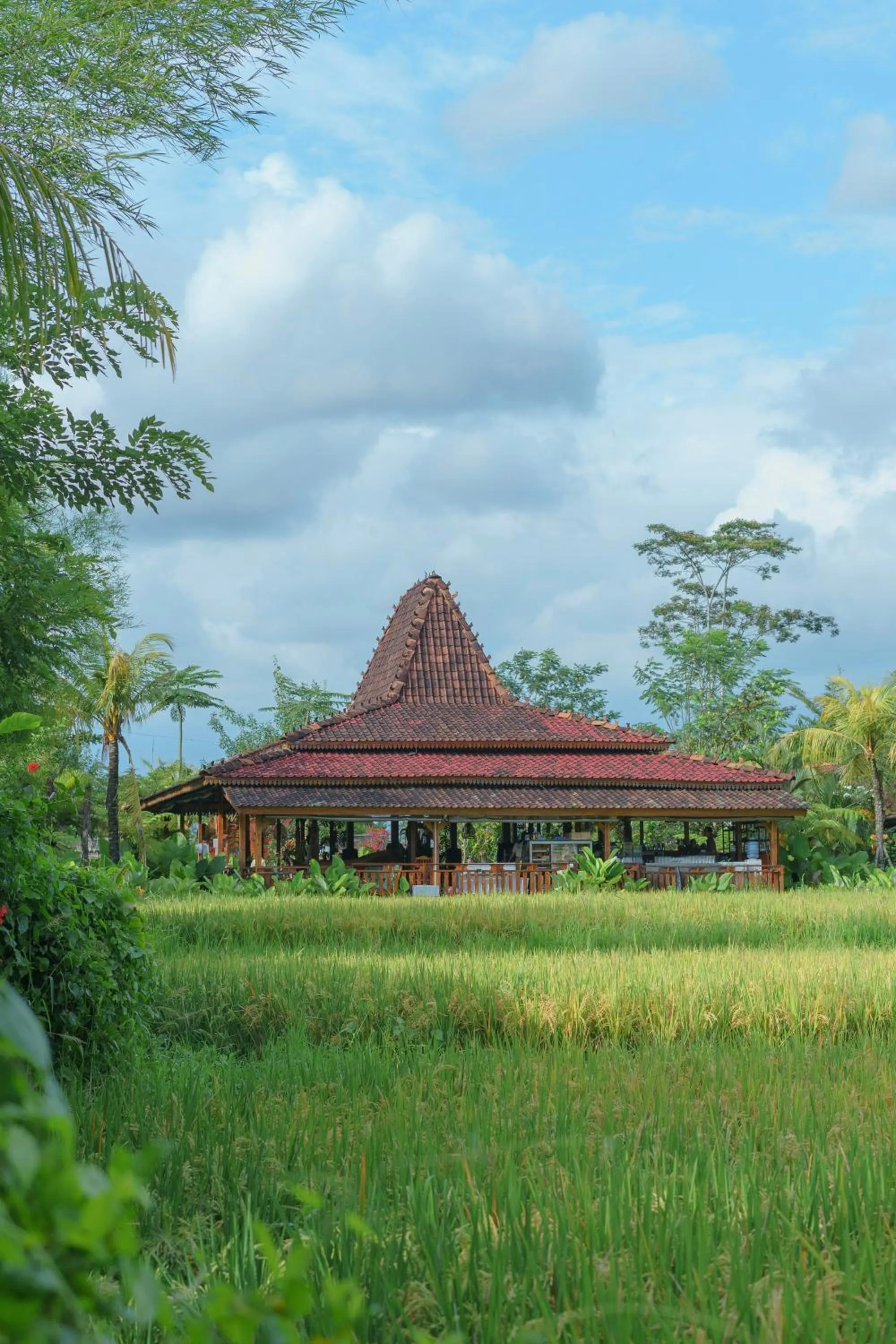 Restaurant/places to eat in Ubud Art Resort