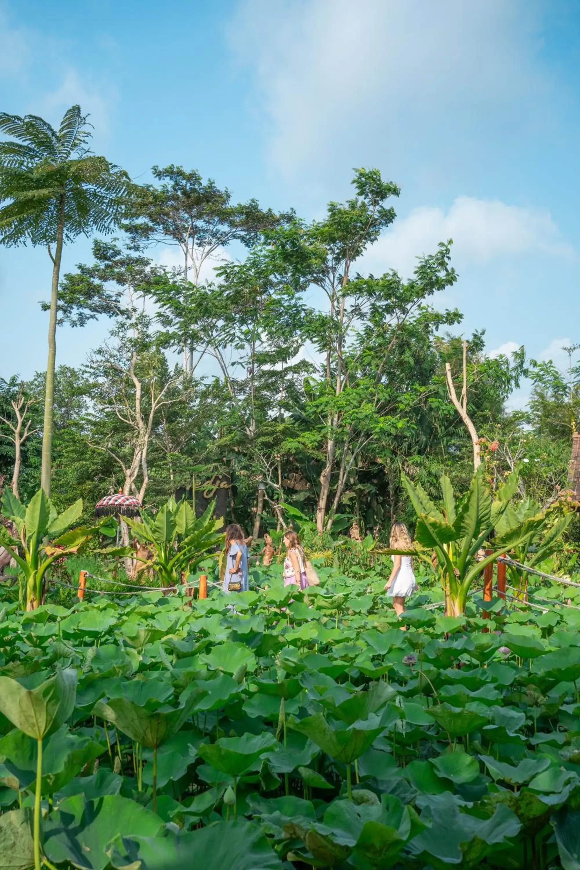 Restaurant/places to eat in Ubud Art Resort Restaurant/places to eat in Ubud Art Resort