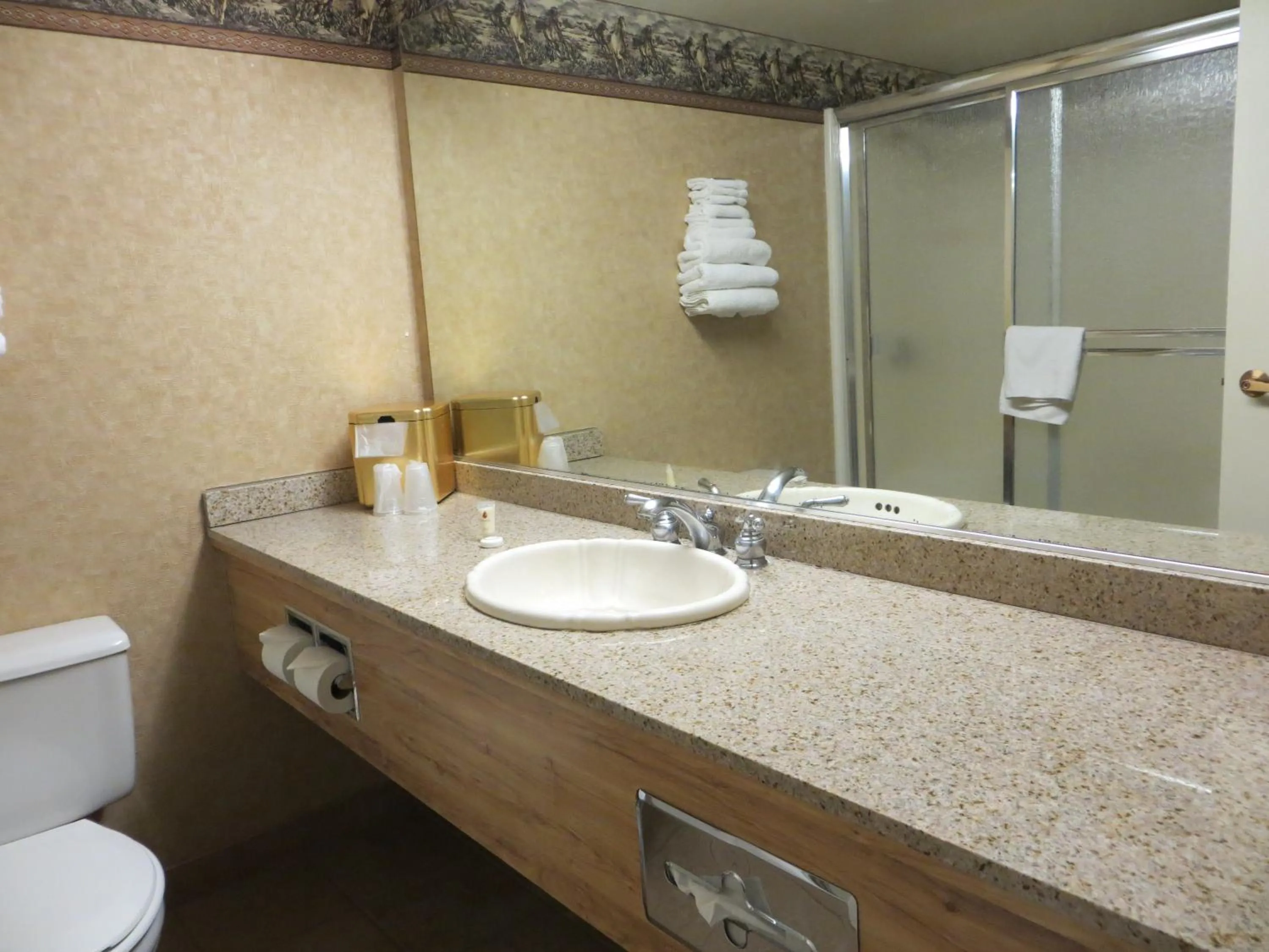 Toilet in Buffalo Bills Resort & Casino