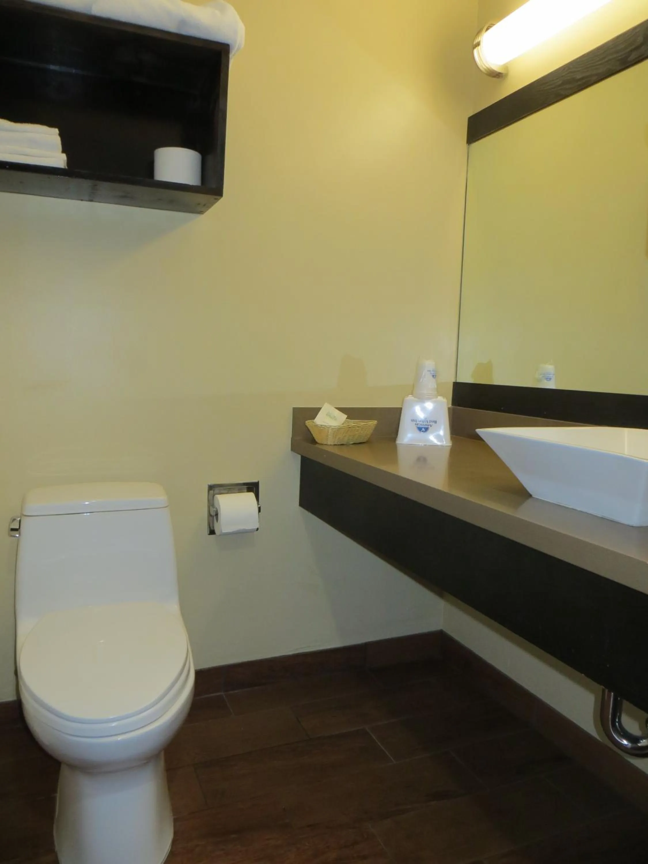 Toilet in Muir Woods Lodge