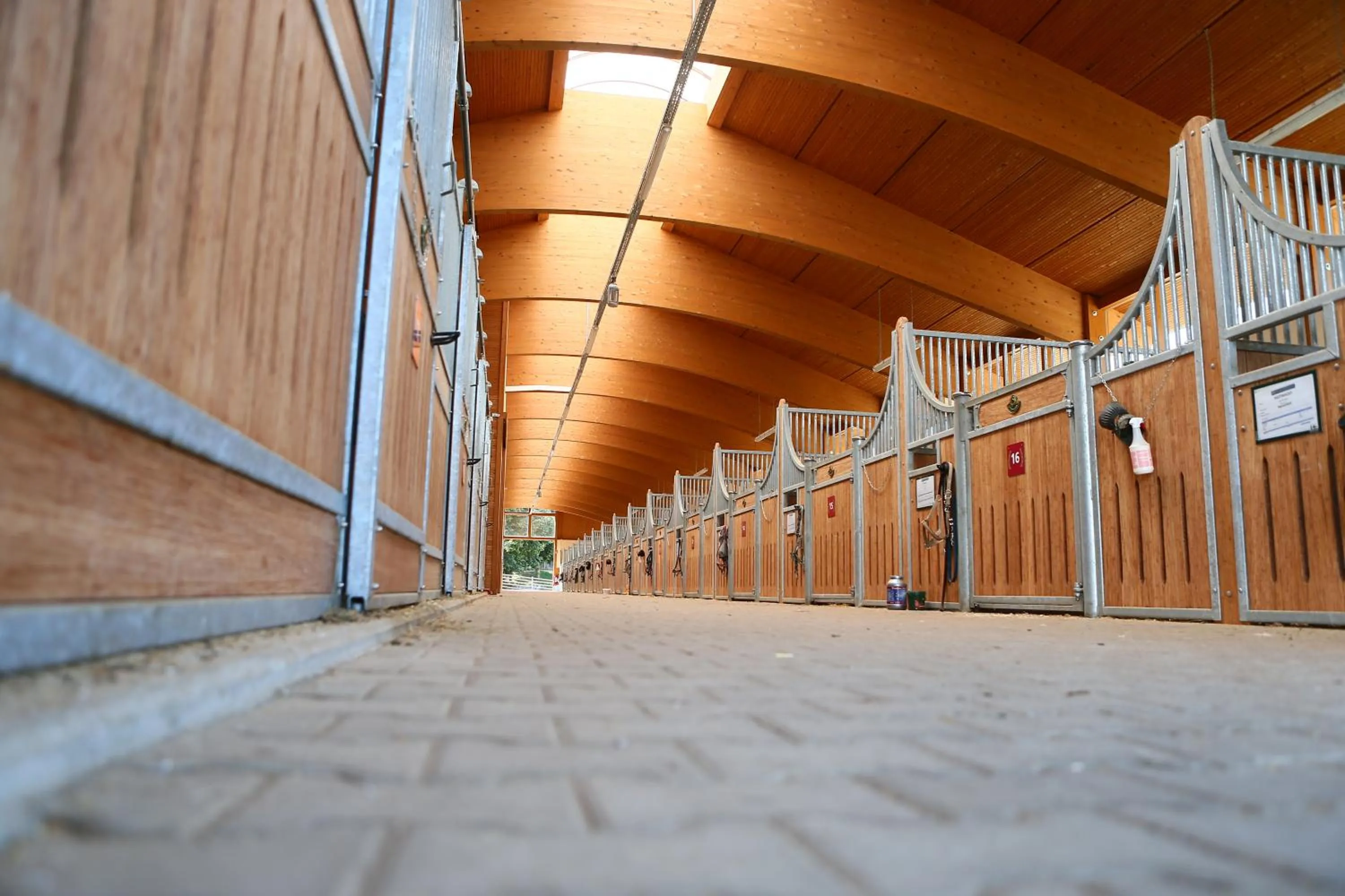 Animals in Allgäu Meadow Ranch