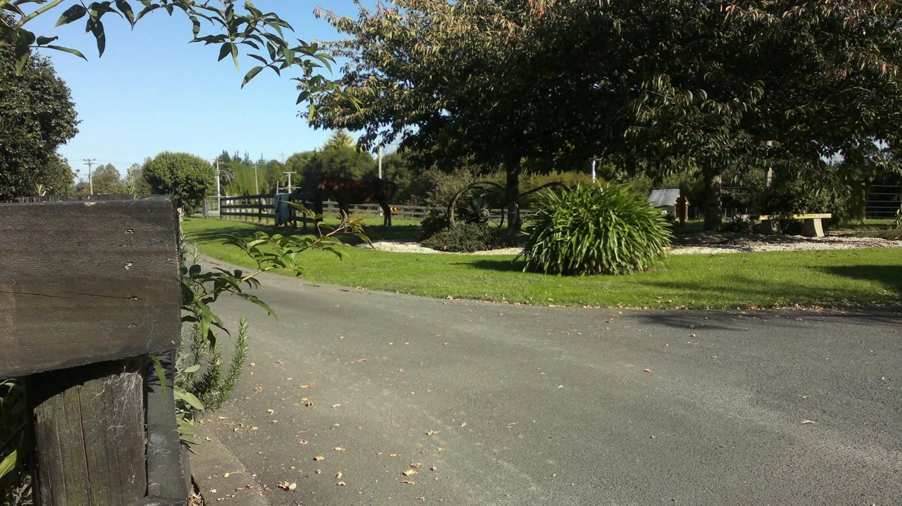 Day in Cambridge Coach House