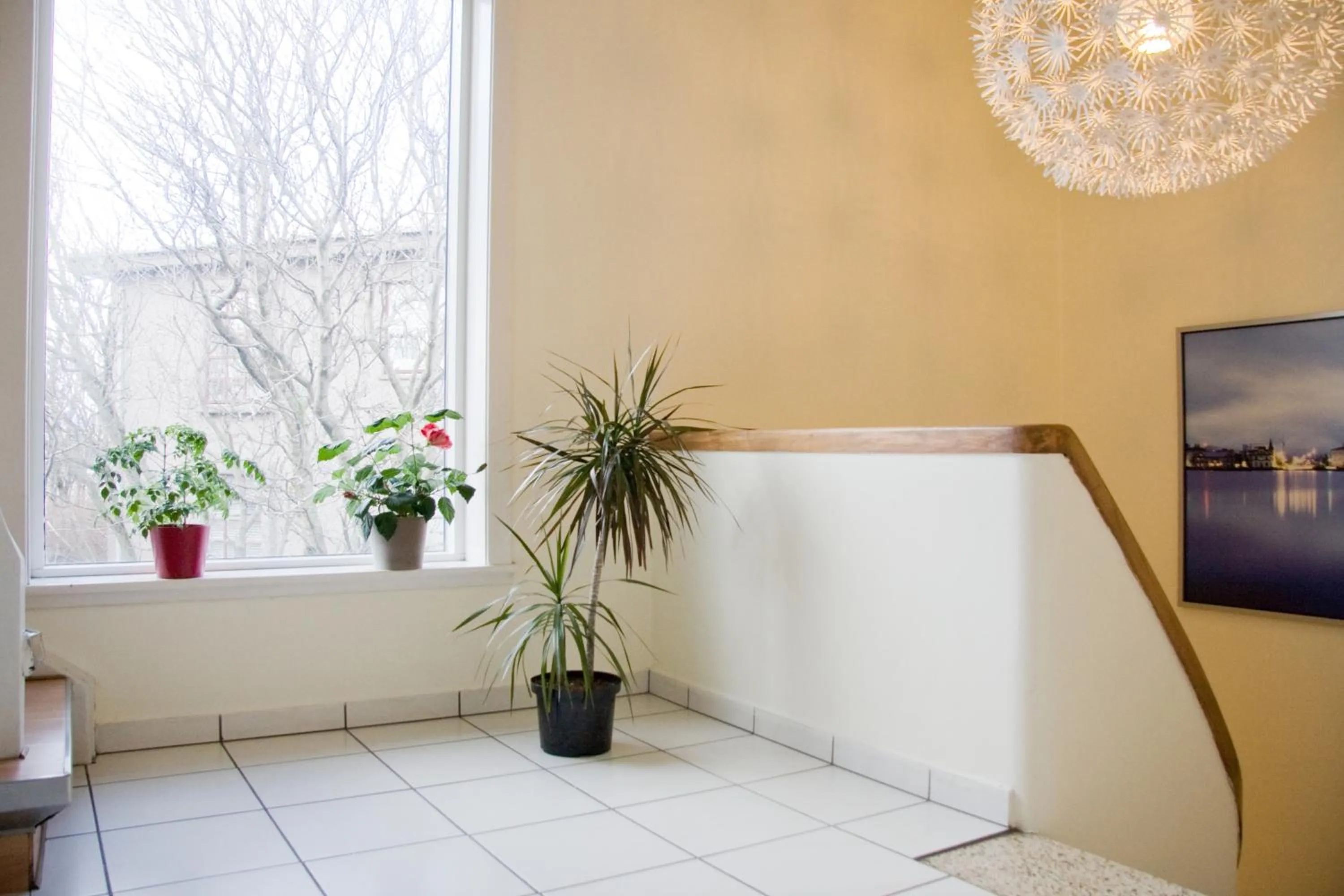 Other in Igdlo Guesthouse