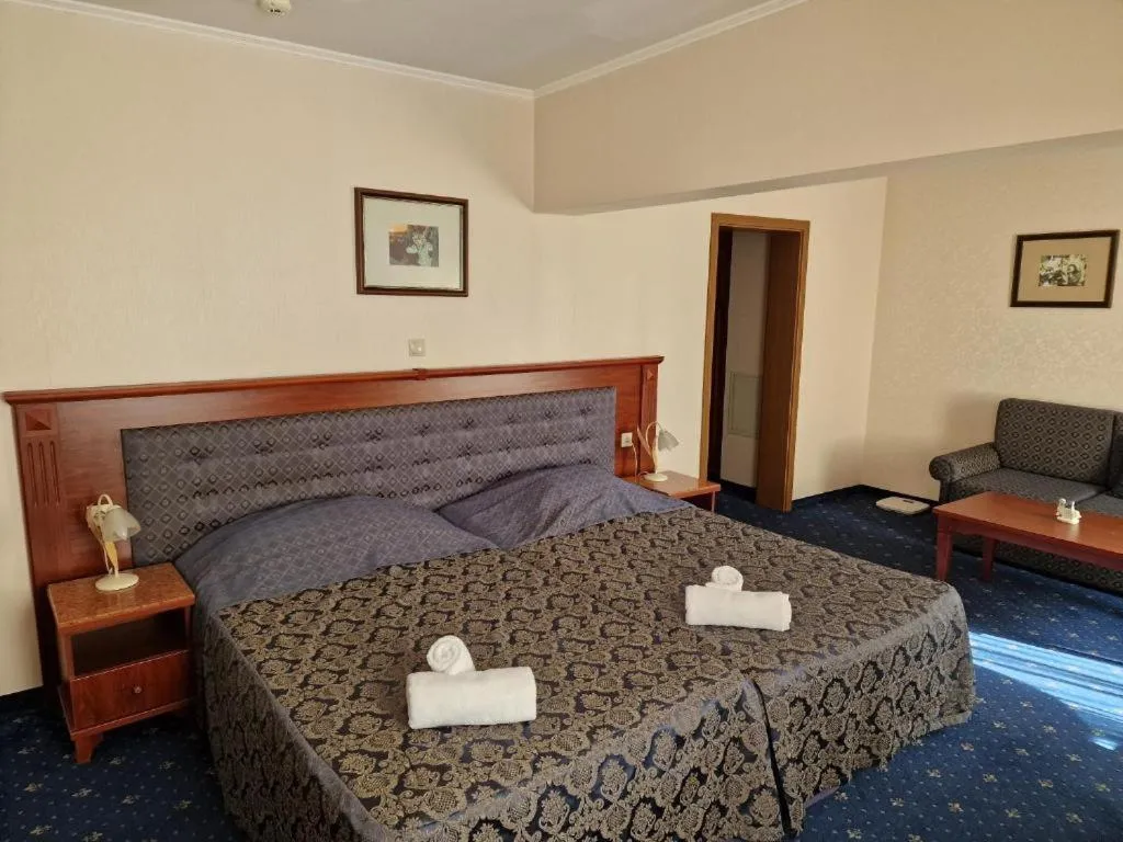 Deluxe Twin Room in Danube Hotel & Spa