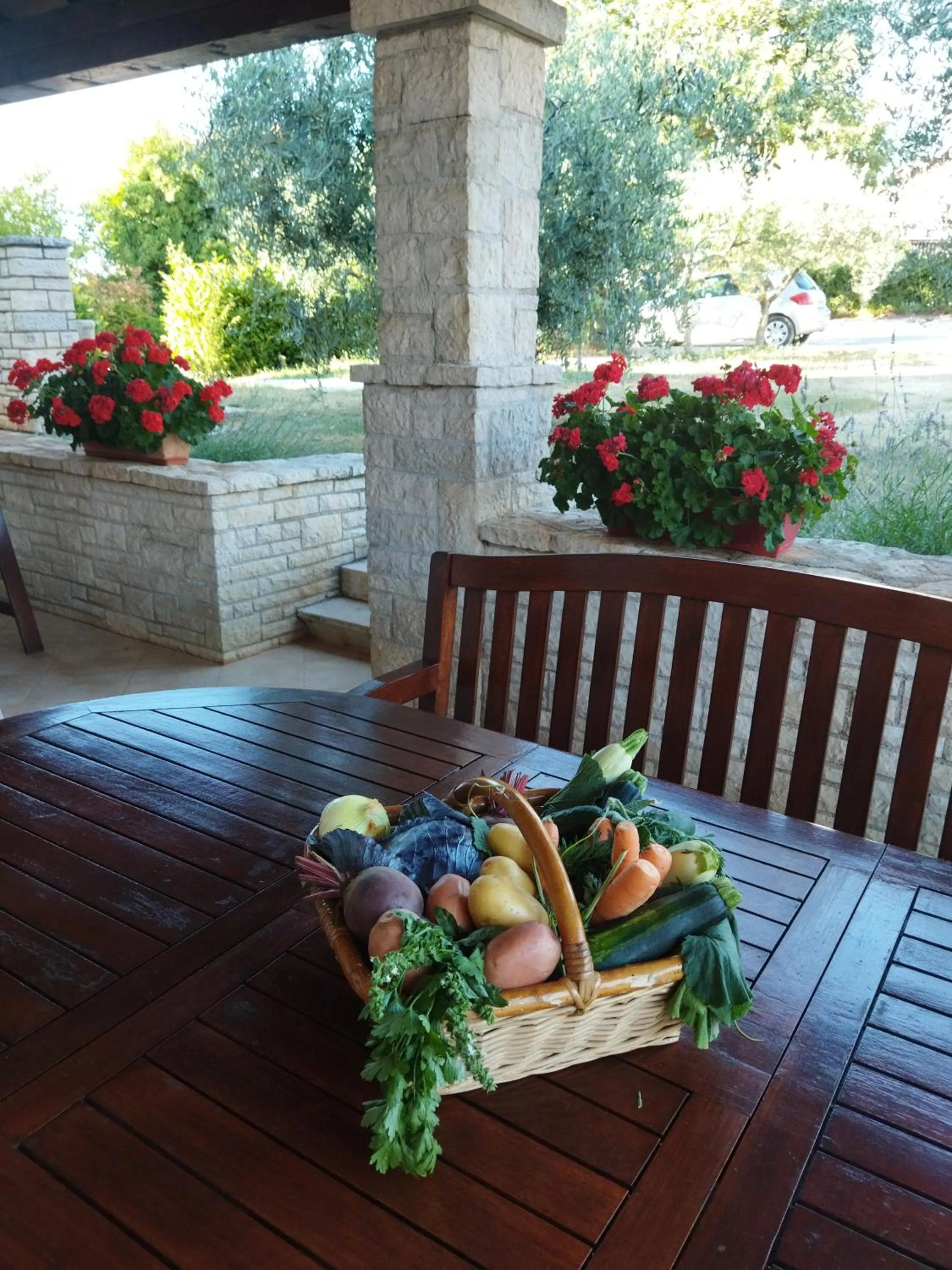 Balcony/Terrace in Apartments Ivan & Tina