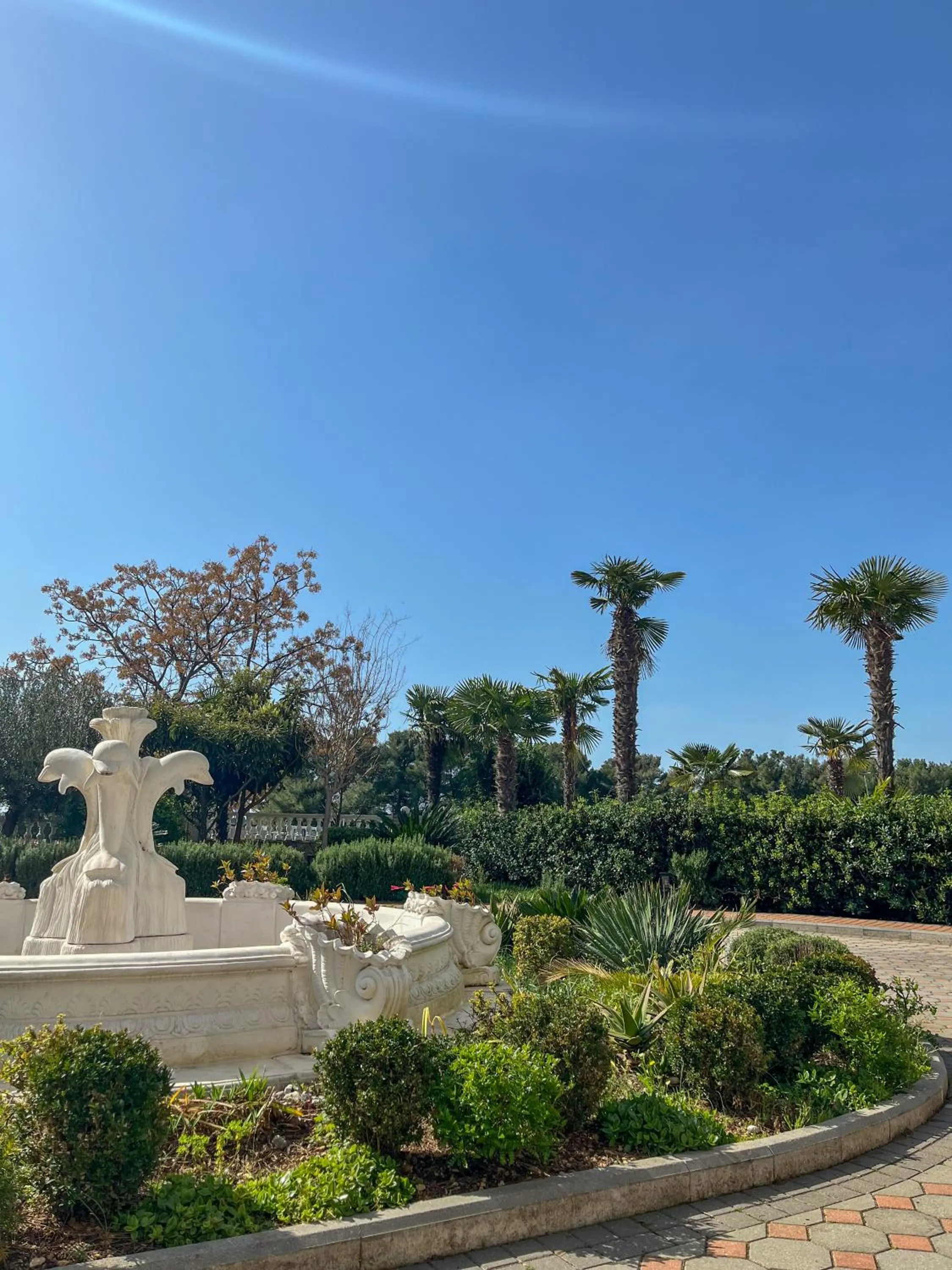 Garden in Hotel Miramare