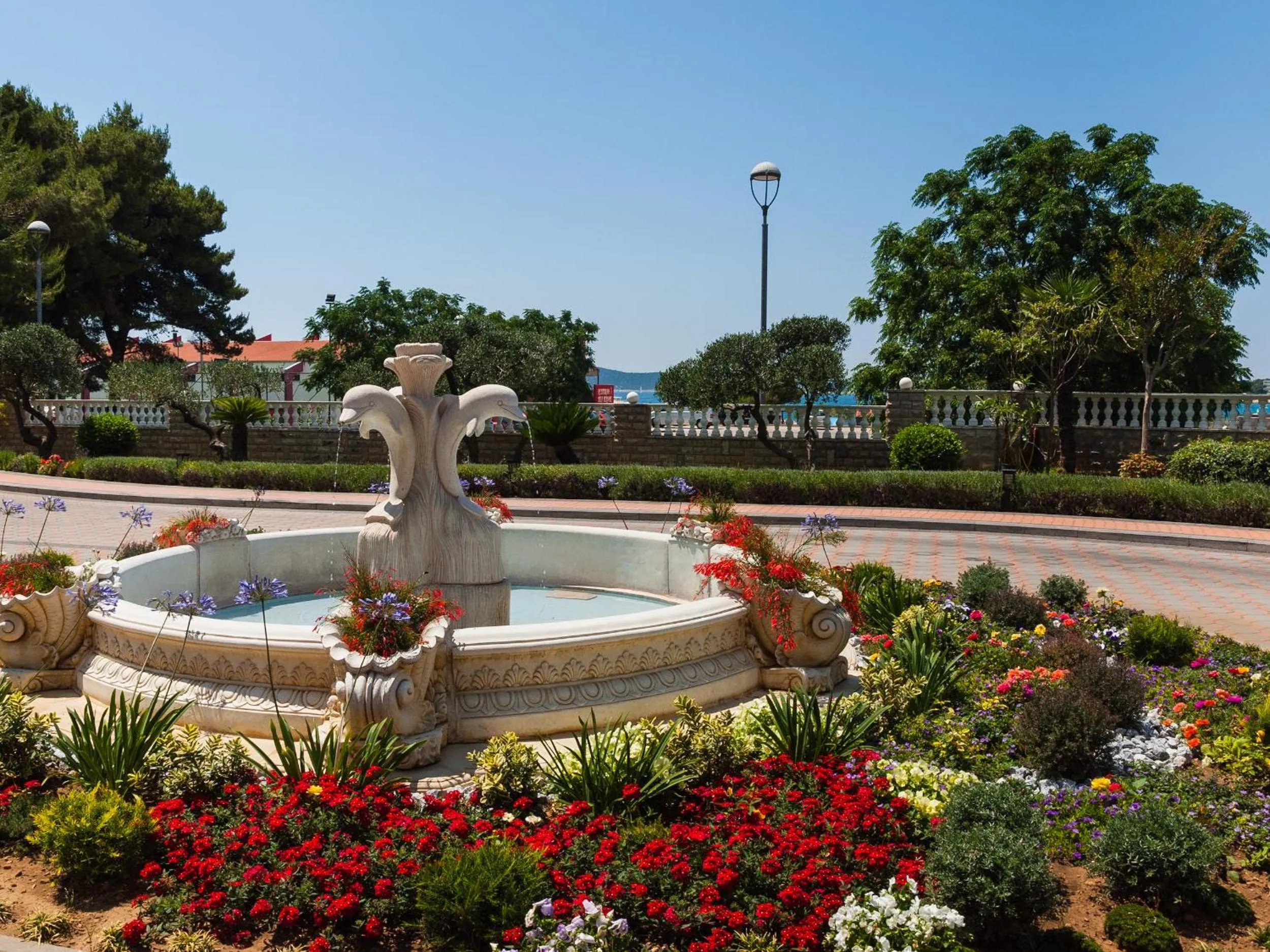 Area and facilities in Hotel Miramare