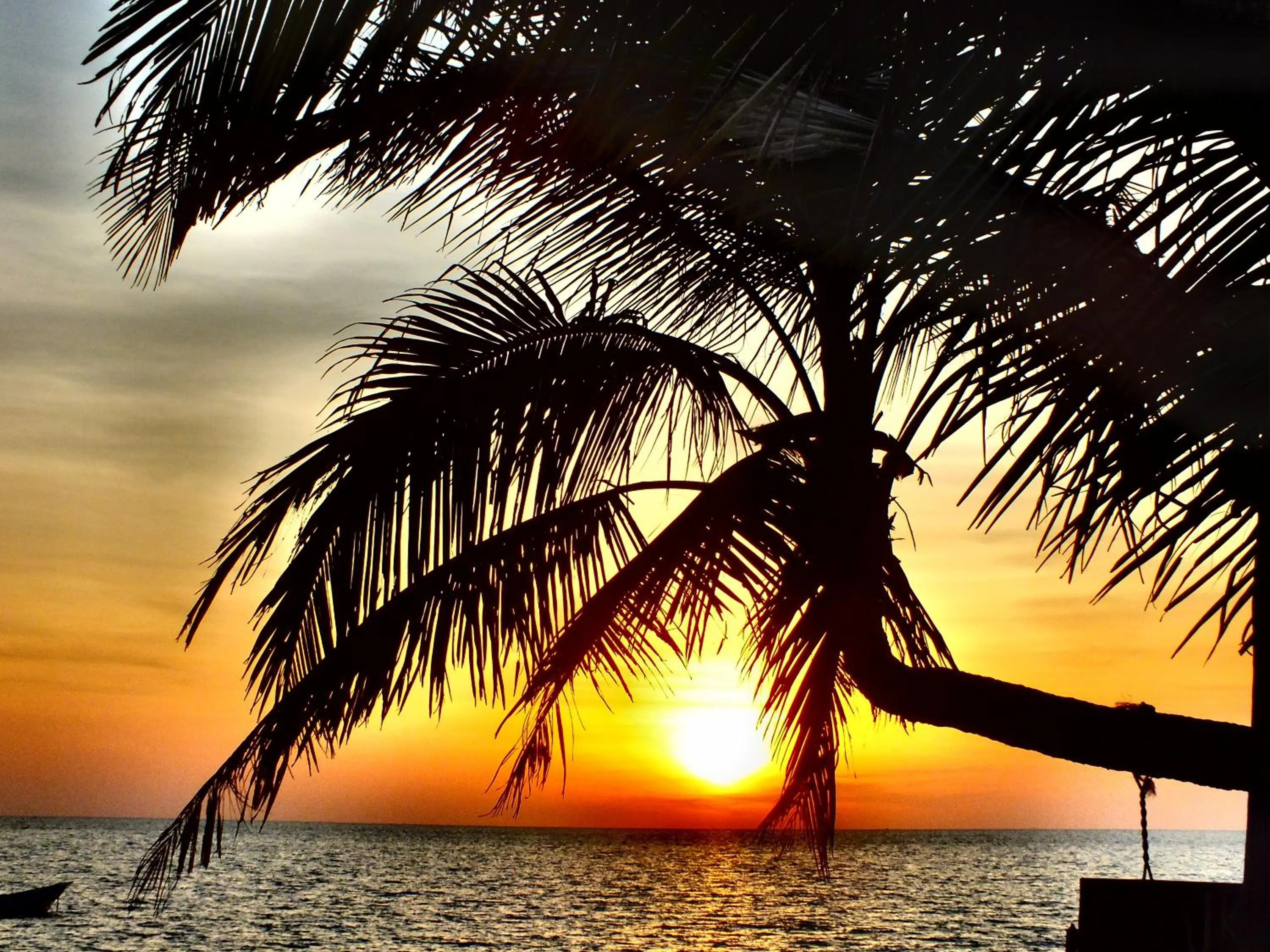 Natural landscape in C&N Kho Khao Beach Resort - SHA Plus