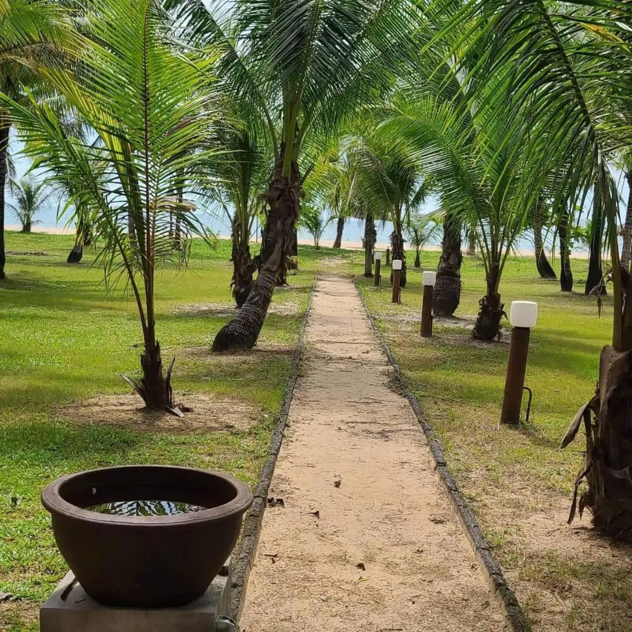 Garden in C&N Kho Khao Beach Resort - SHA Plus