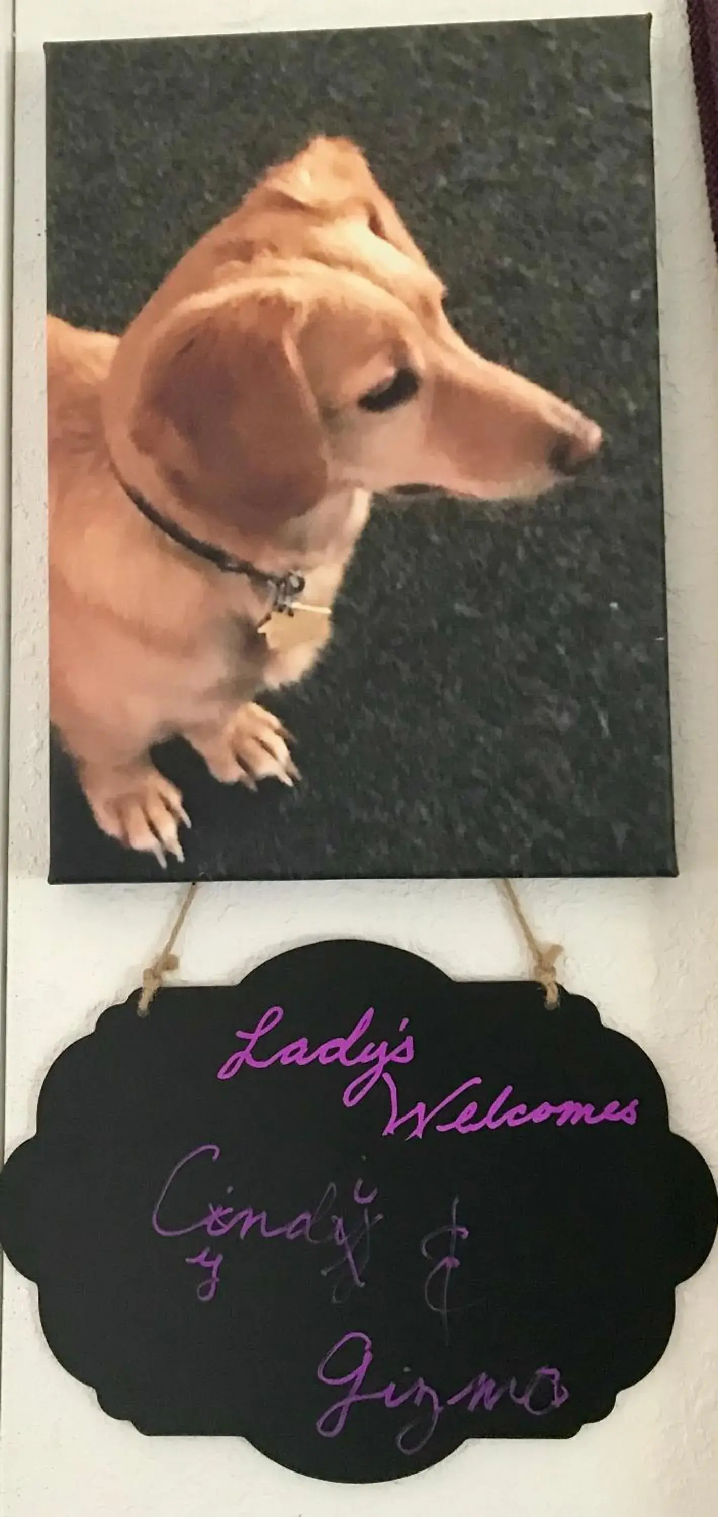 Standard Twin Room with Shared Bathroom - single occupancy in Leah's Homestay in Hoquiam Standard Twin Room with Shared Bathroom - single occupancy in Leah's Homestay in Hoquiam