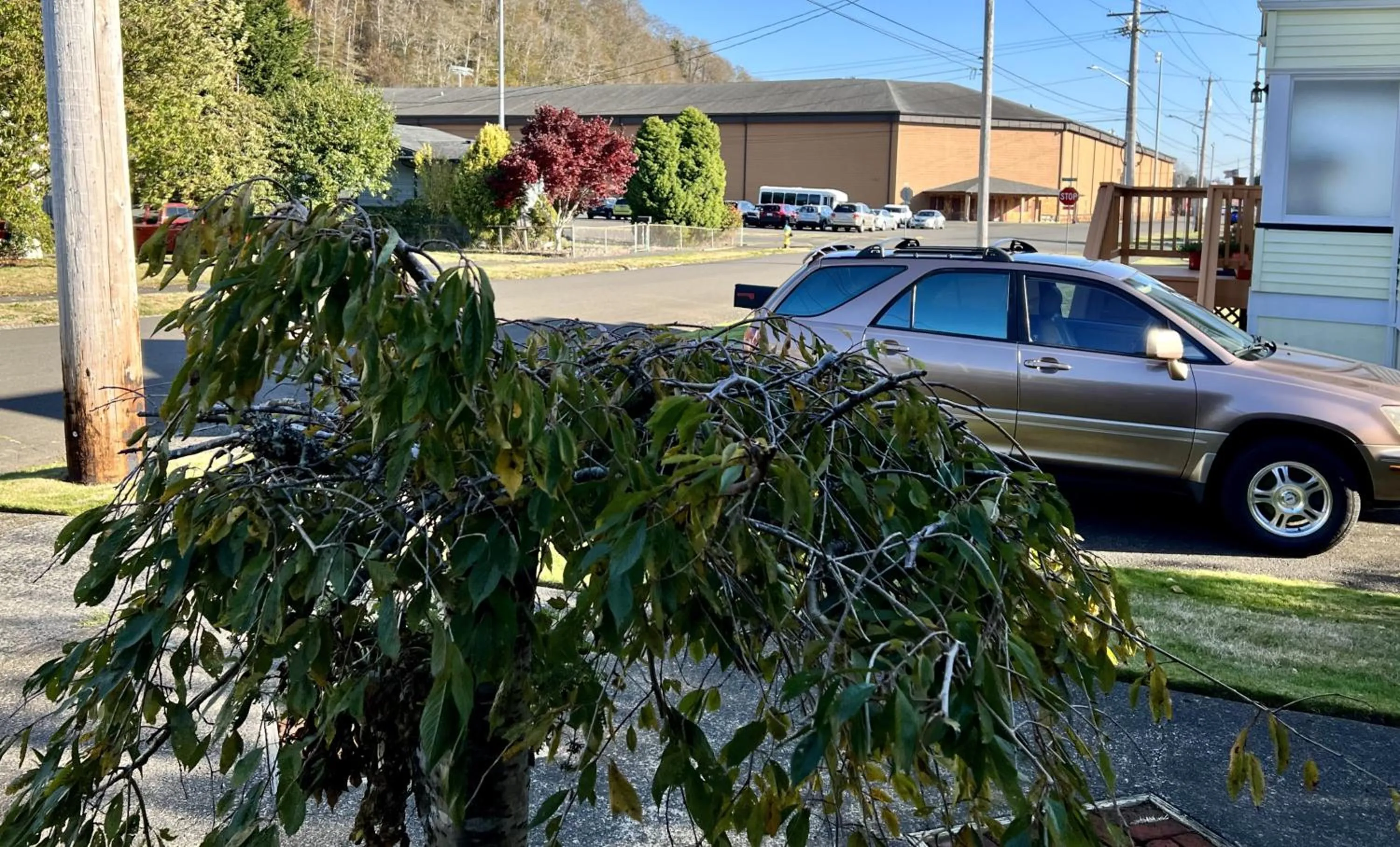 Property building in Leah's Homestay in Hoquiam