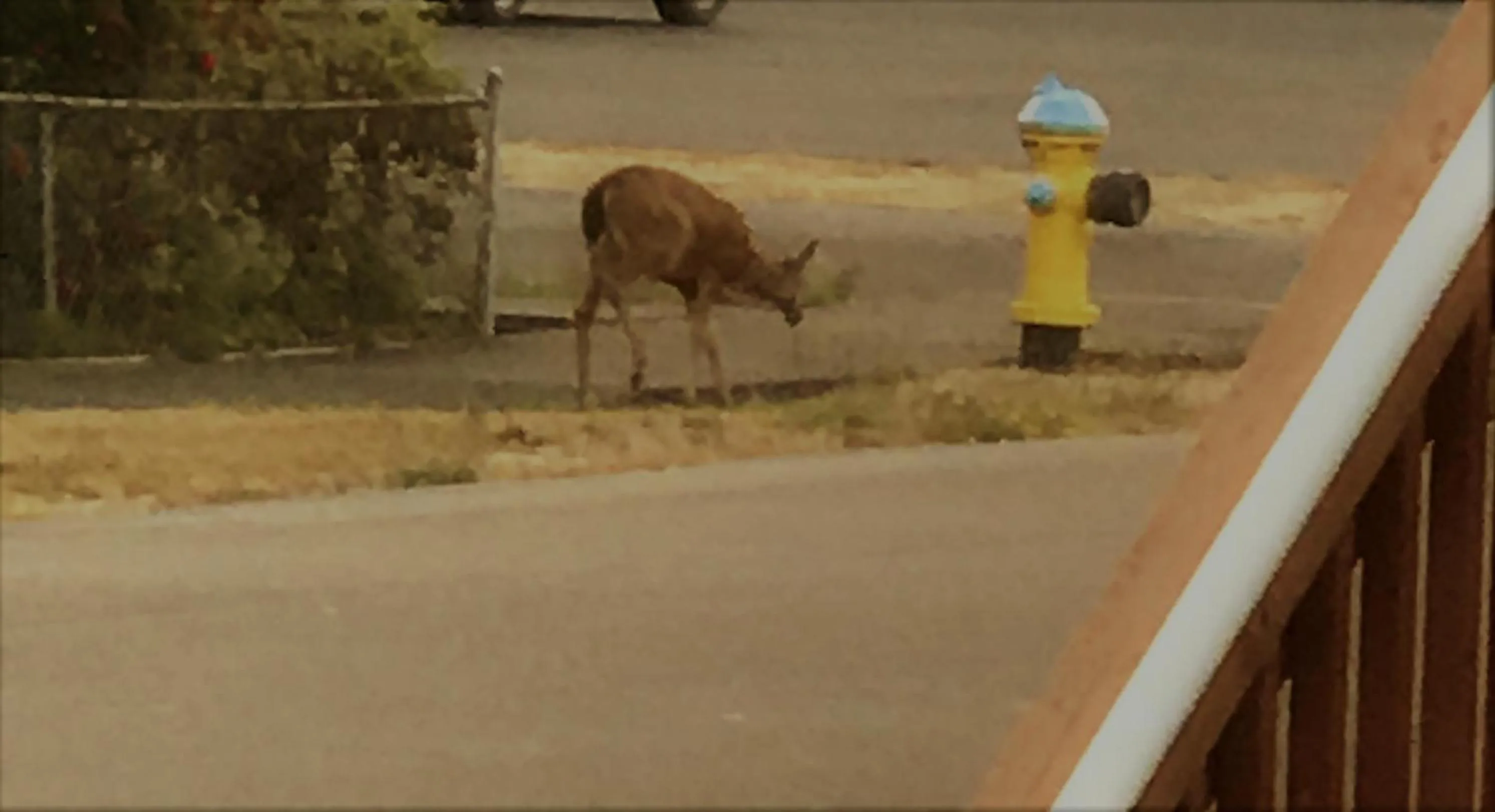 Neighbourhood in Leah's Homestay in Hoquiam