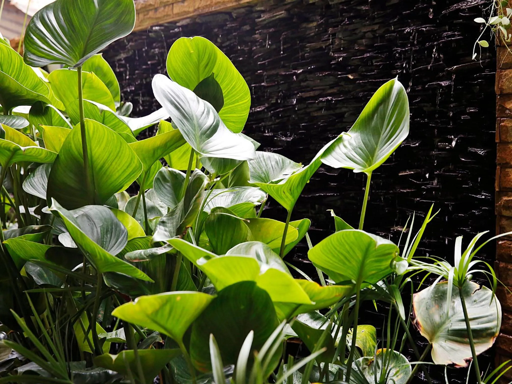 Property building in Baan SS Karon