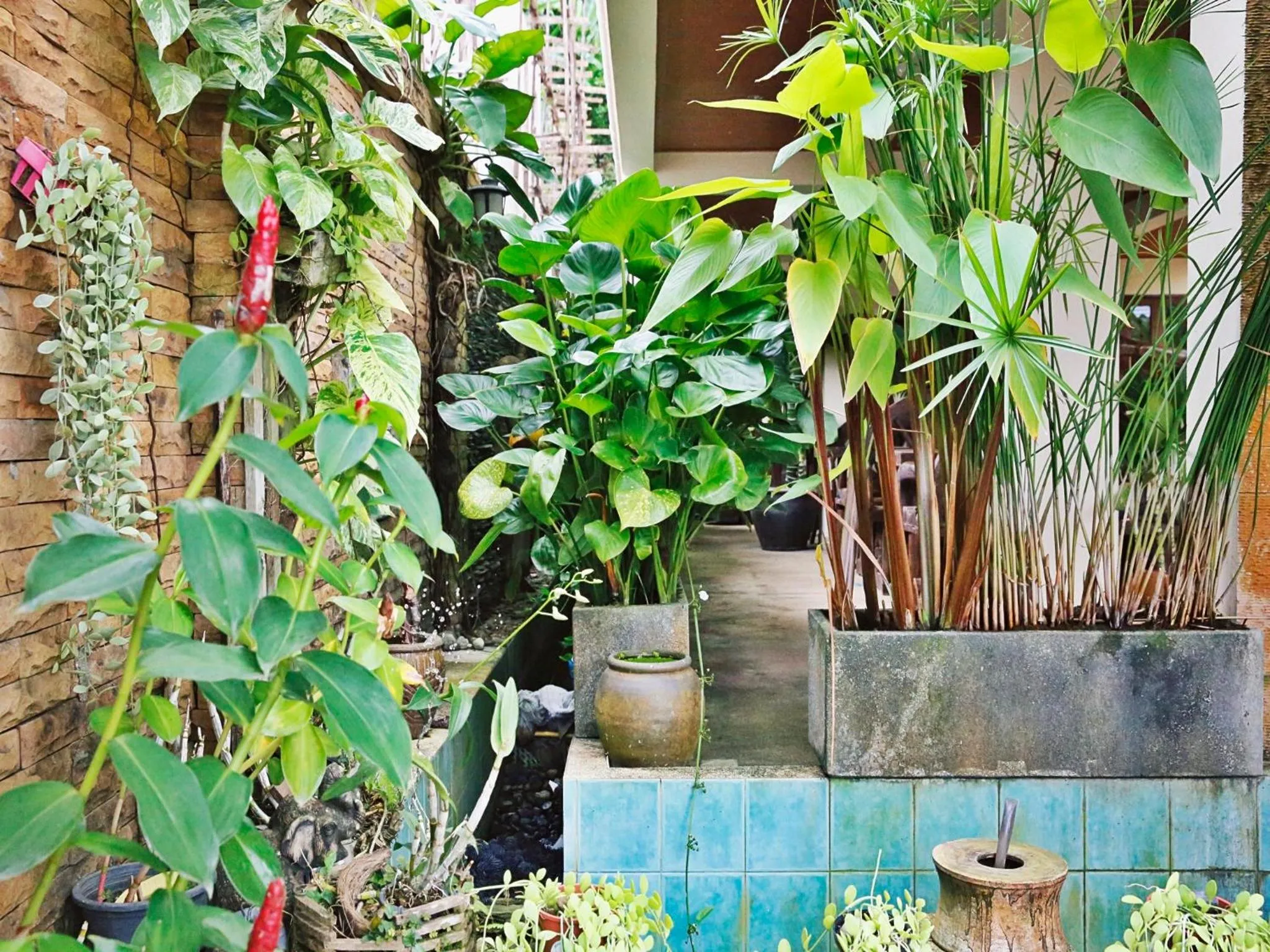 Property building in Baan SS Karon