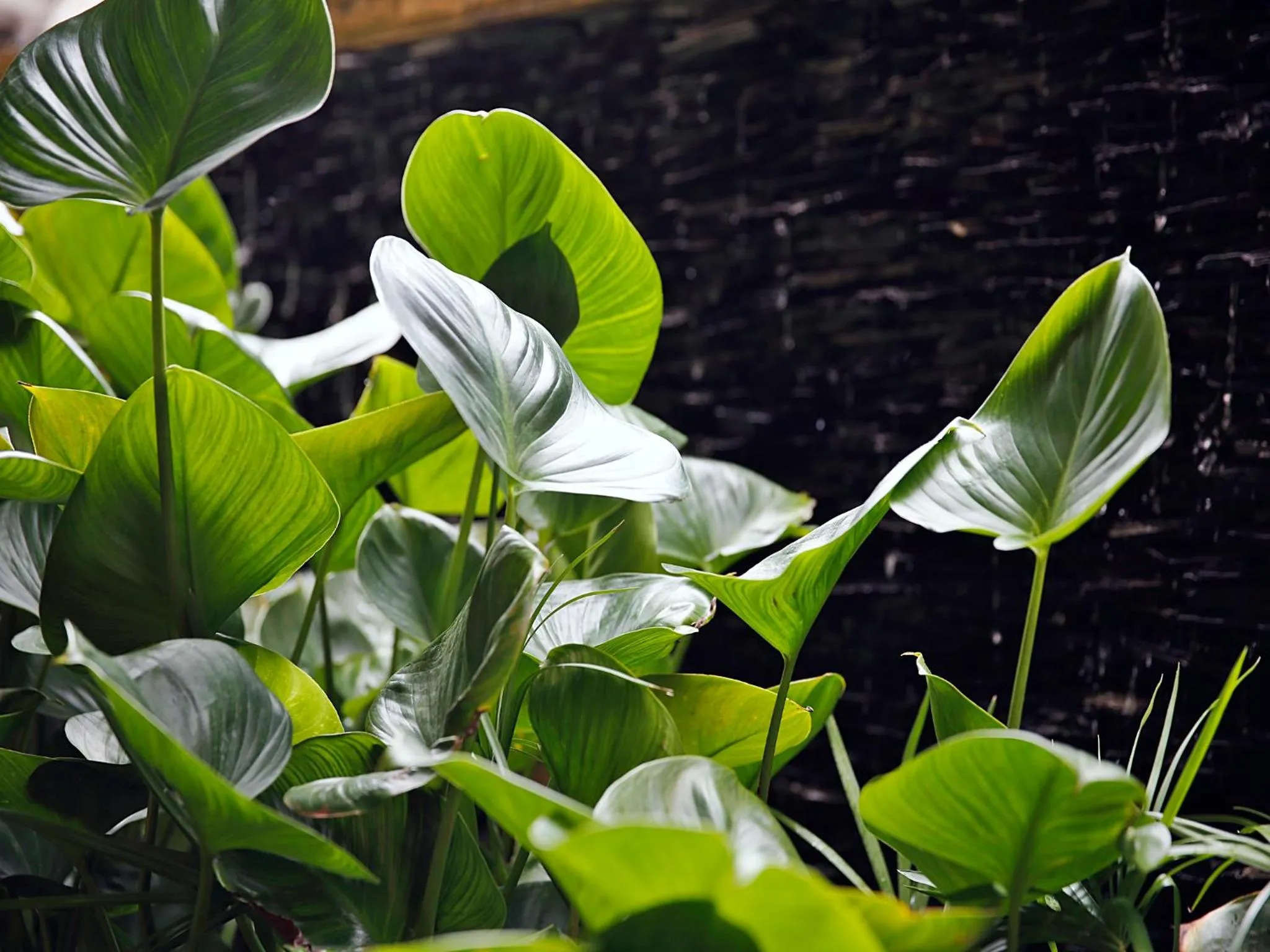 Property building in Baan SS Karon