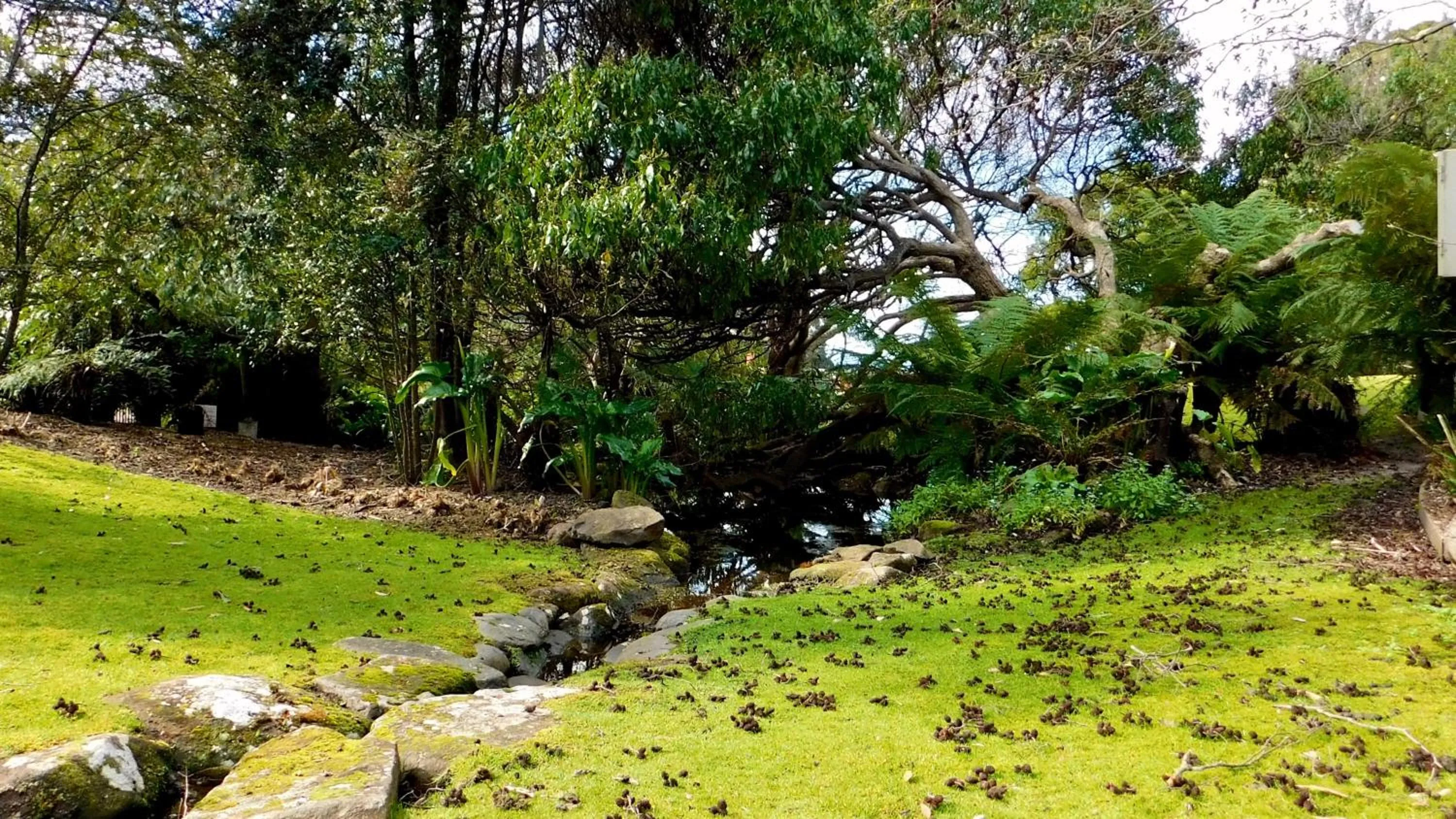 Garden in 43 Degrees Bruny Island