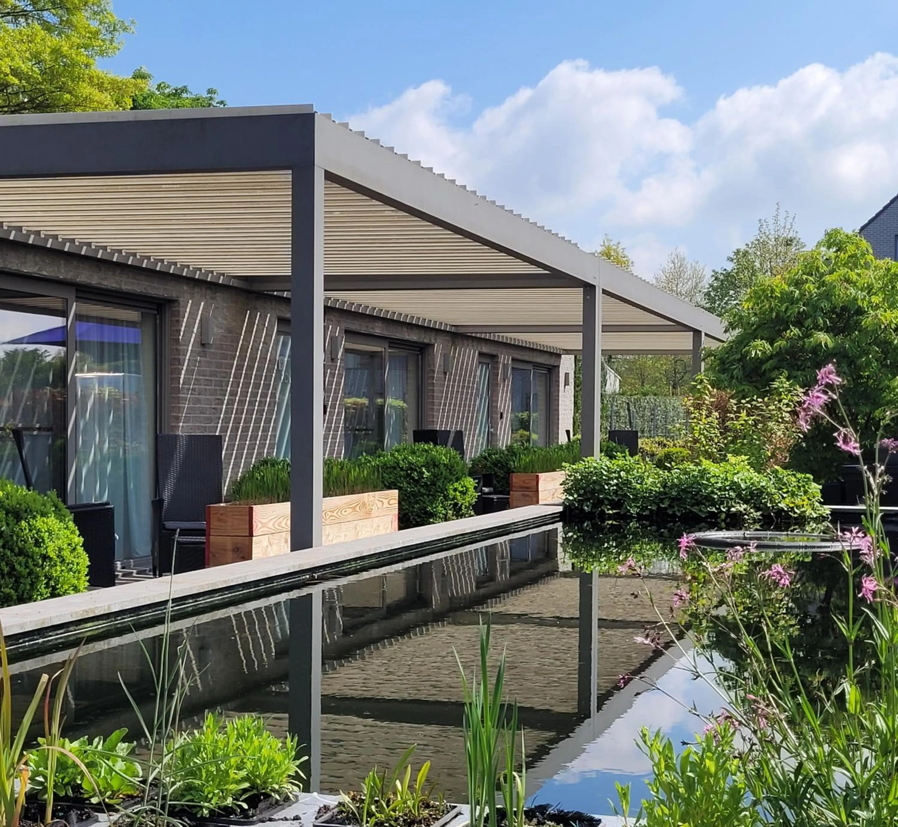 Garden in Abalona Hotel & Apartments