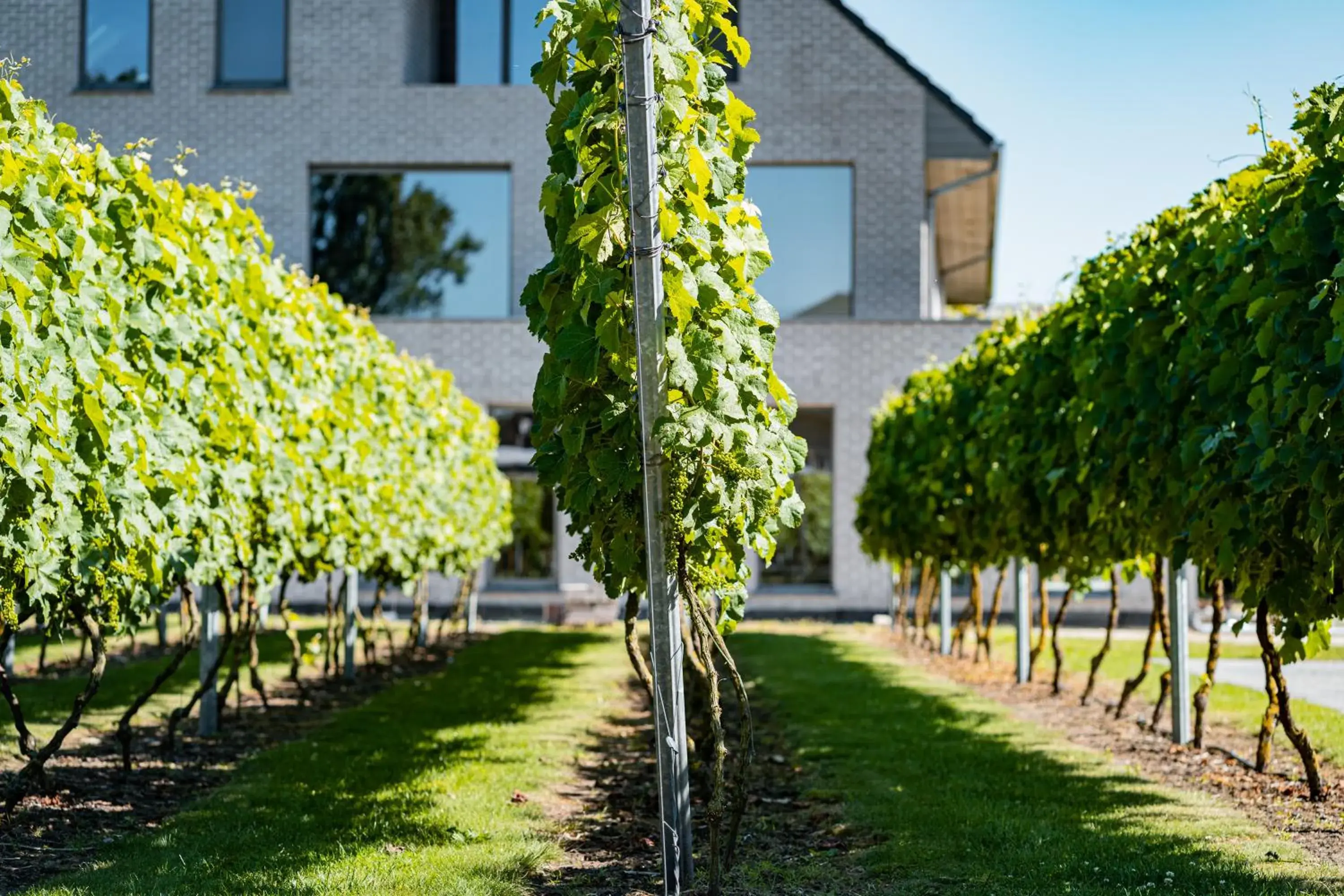 Abalona Hotel & Apartments Abalona Hotel & Apartments