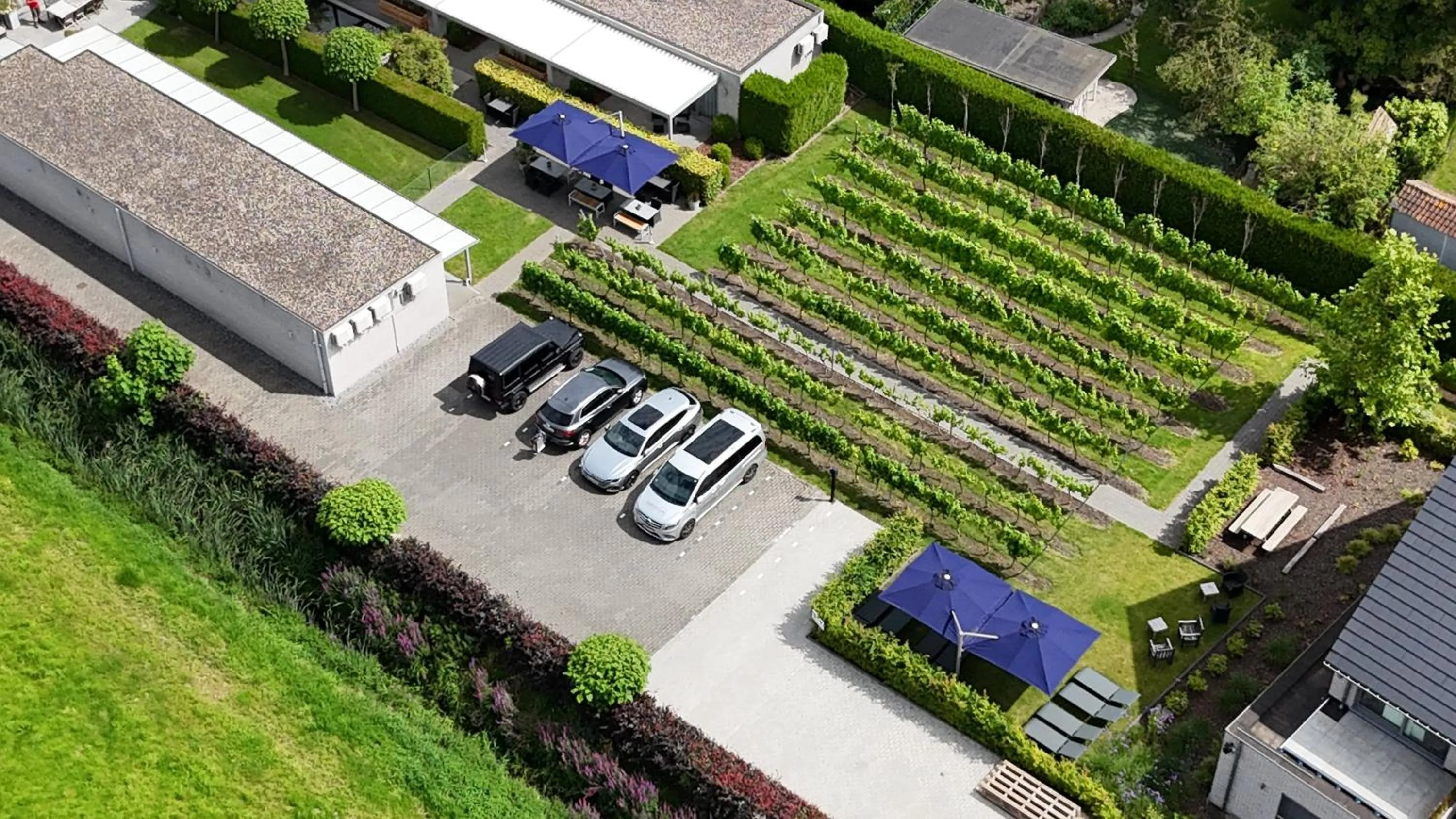 Garden in Abalona Hotel & Apartments