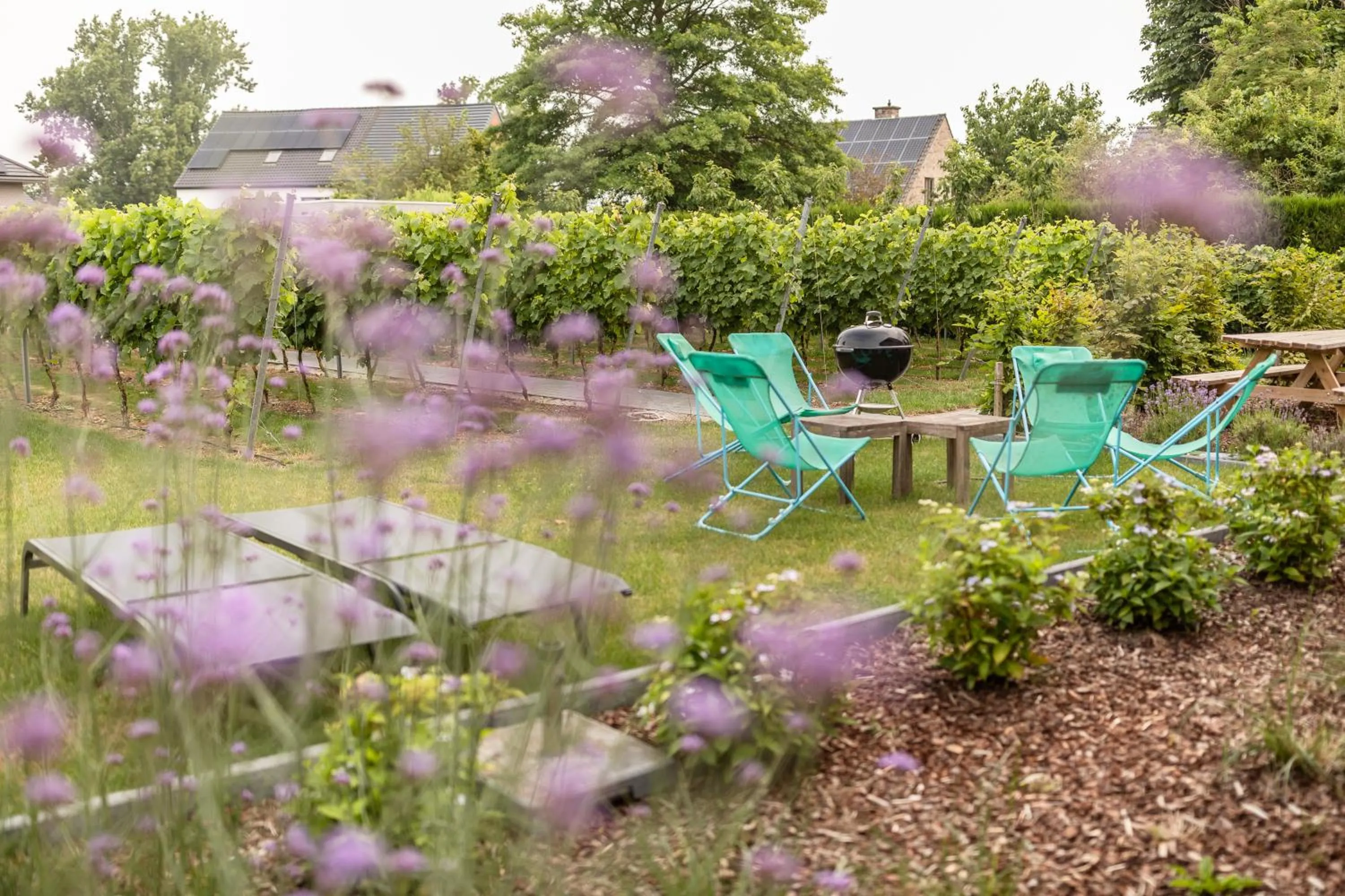 Garden in Abalona Hotel & Apartments