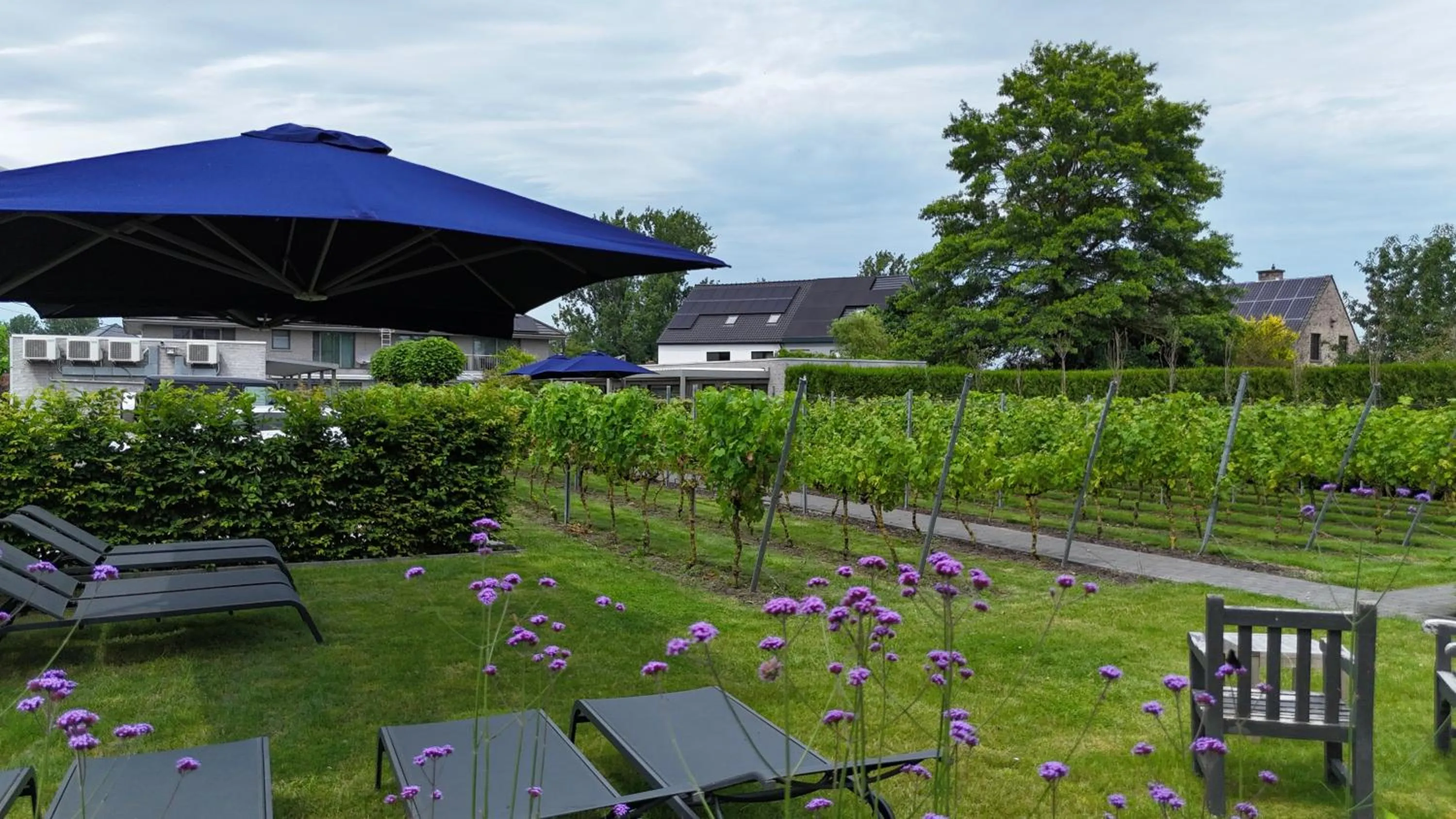 Garden in Abalona Hotel & Apartments