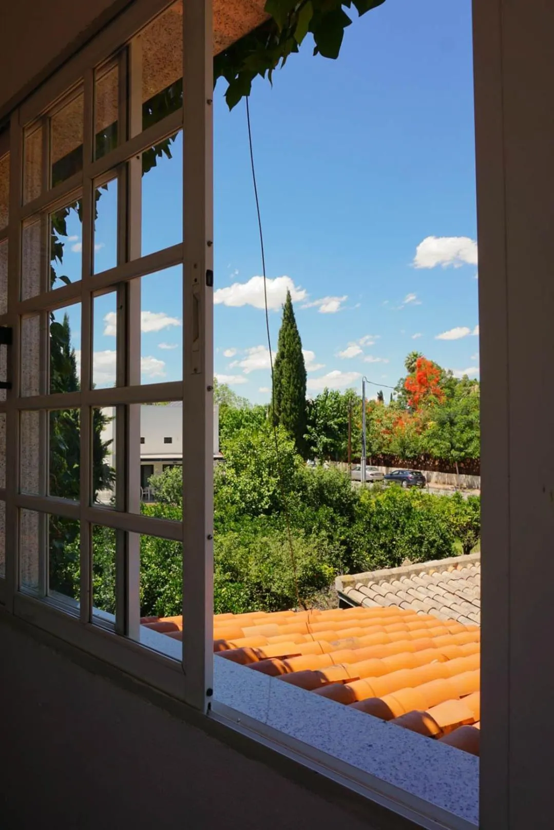 Spring in La Casa Verde