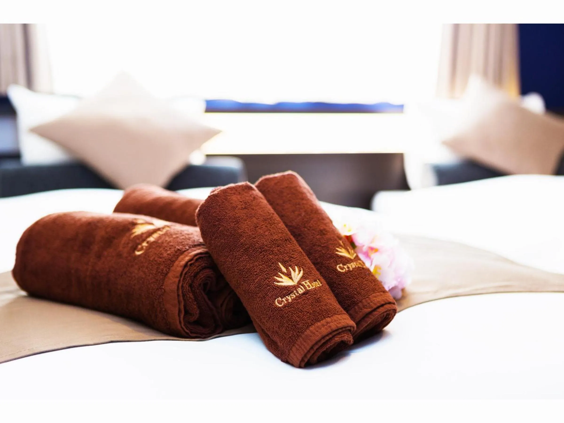 Double Room in Marutamachi Crystal Hotel